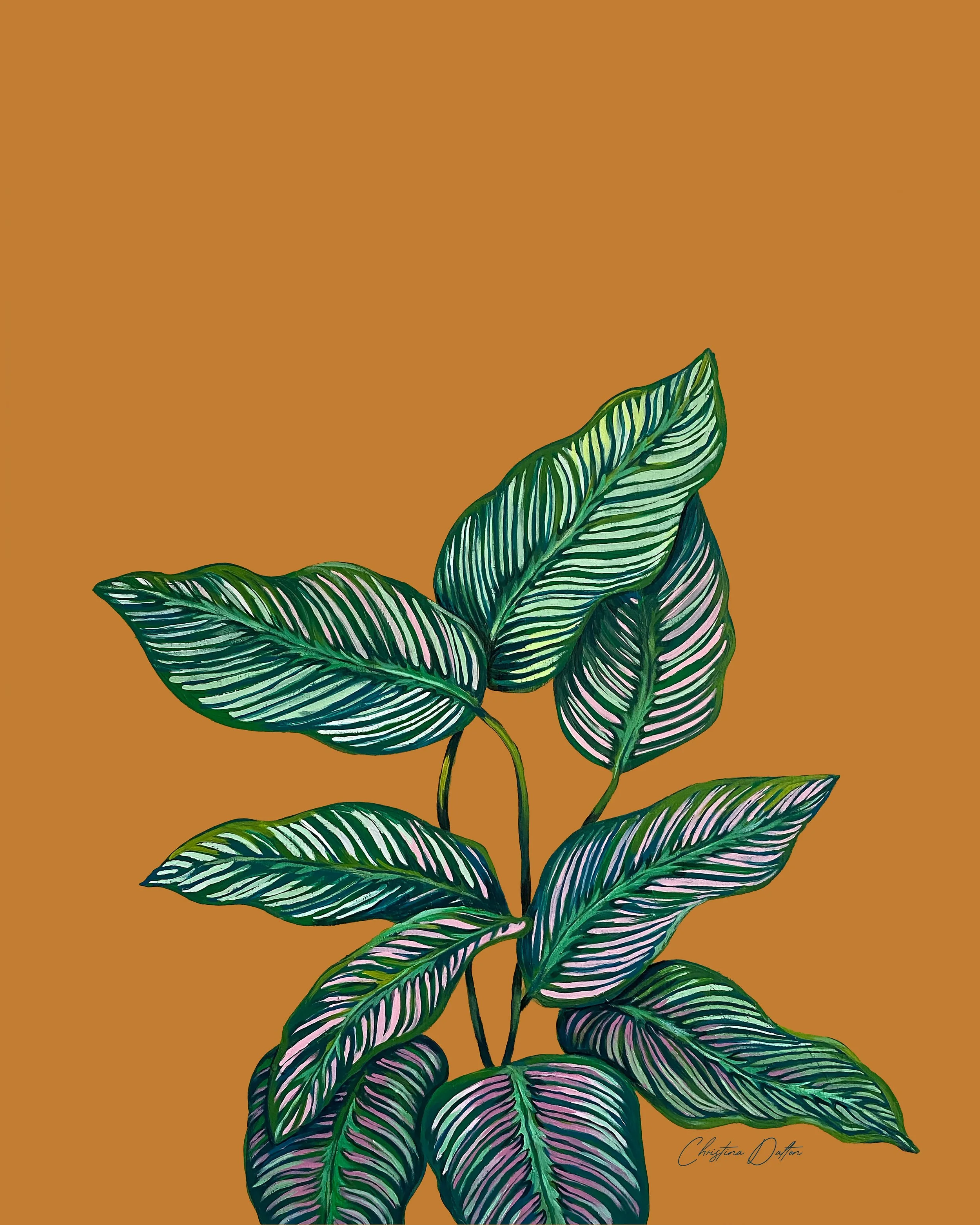 Pinstrip Calathea_WEB.jpg