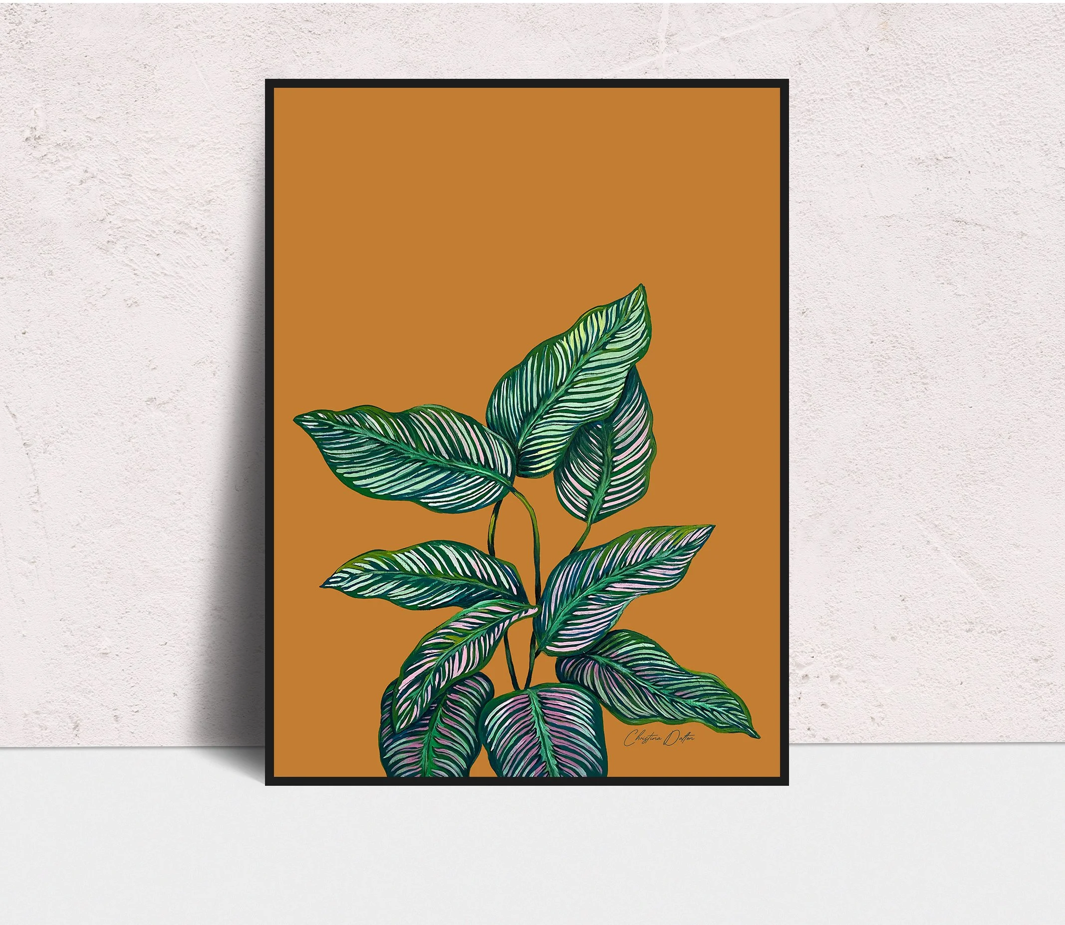 Pinstrip Calathea_Framed.jpg
