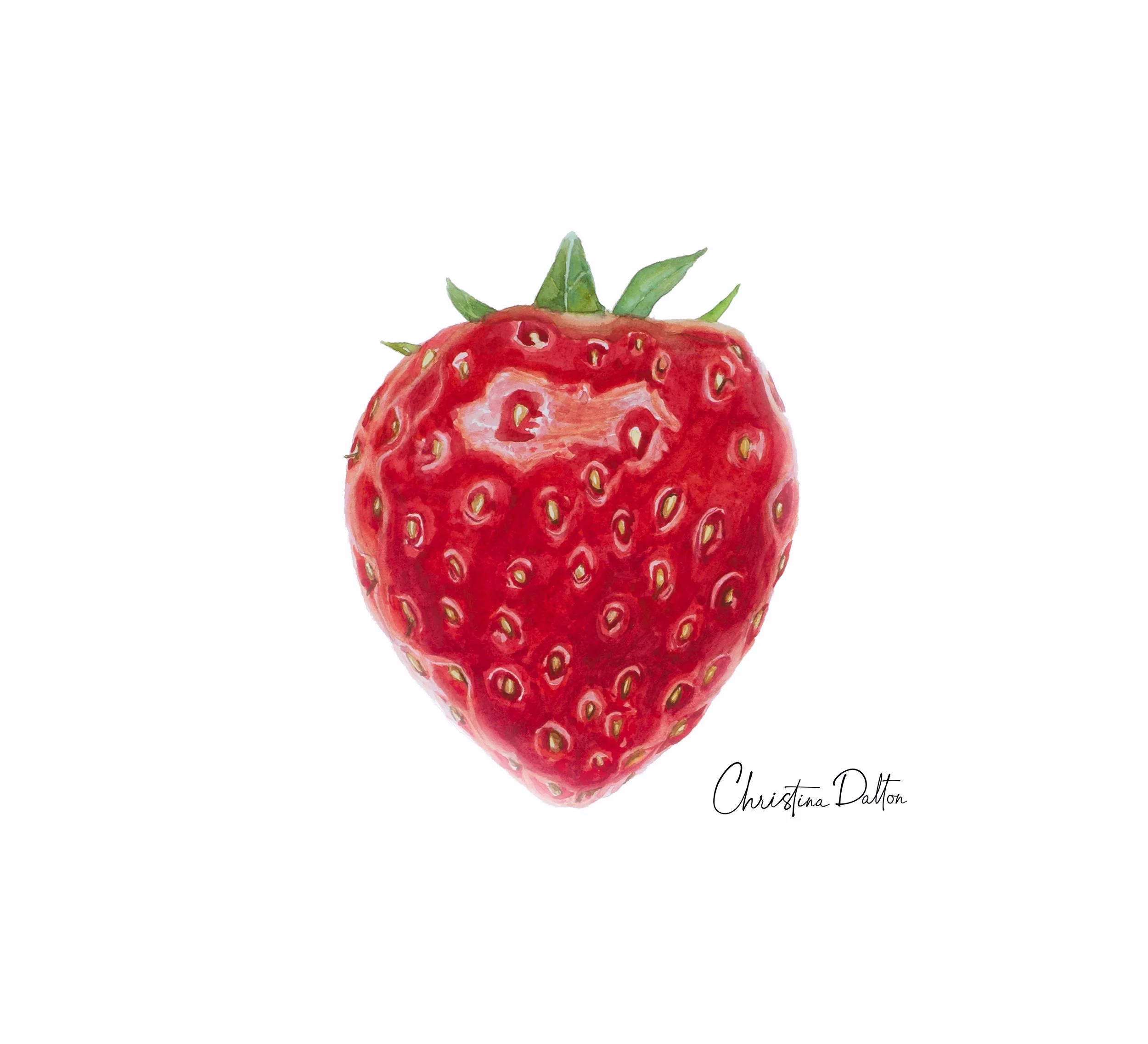 Fat Strawberry Square_Web.jpg