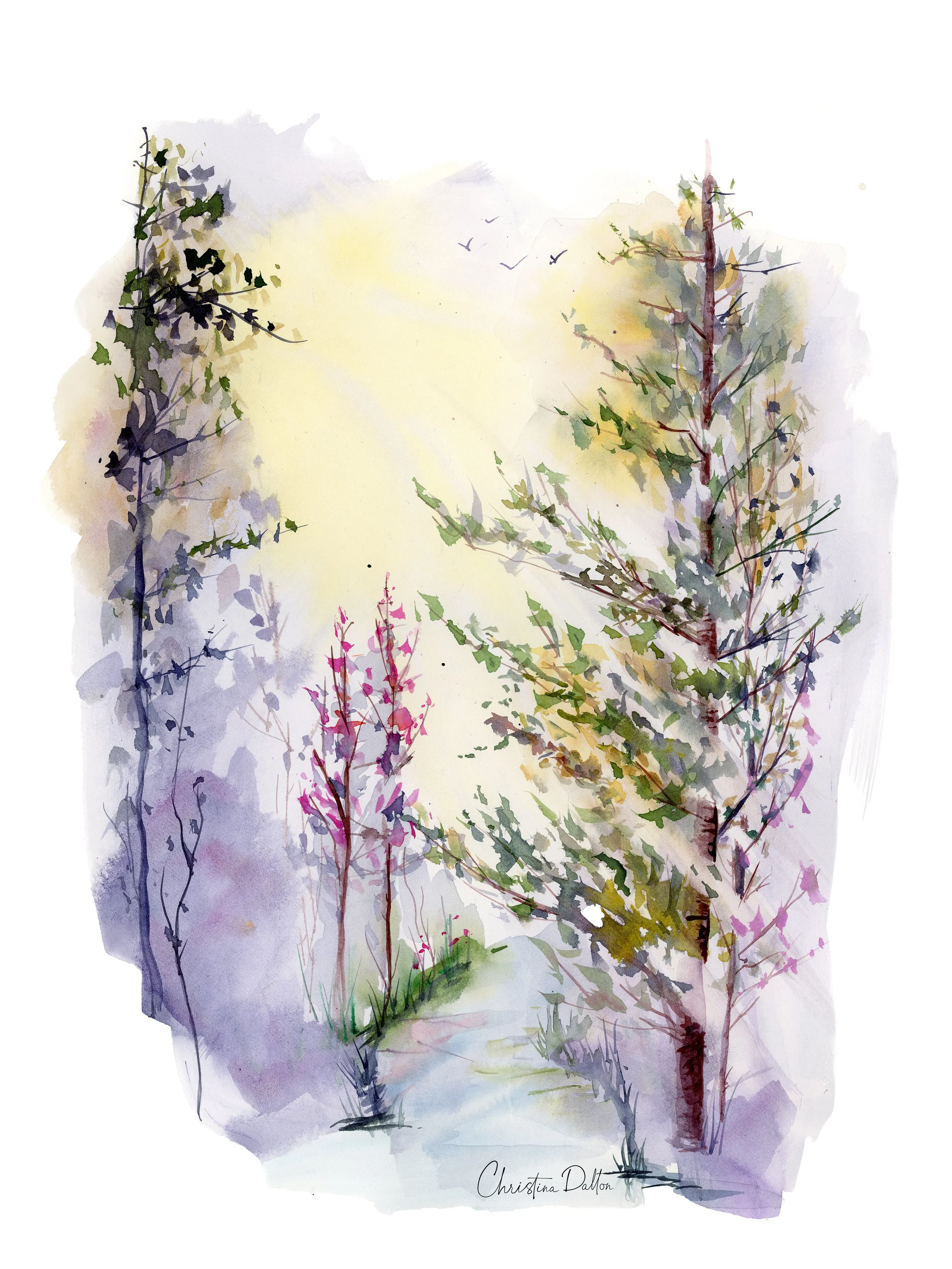 Morning Forest_Web.jpg