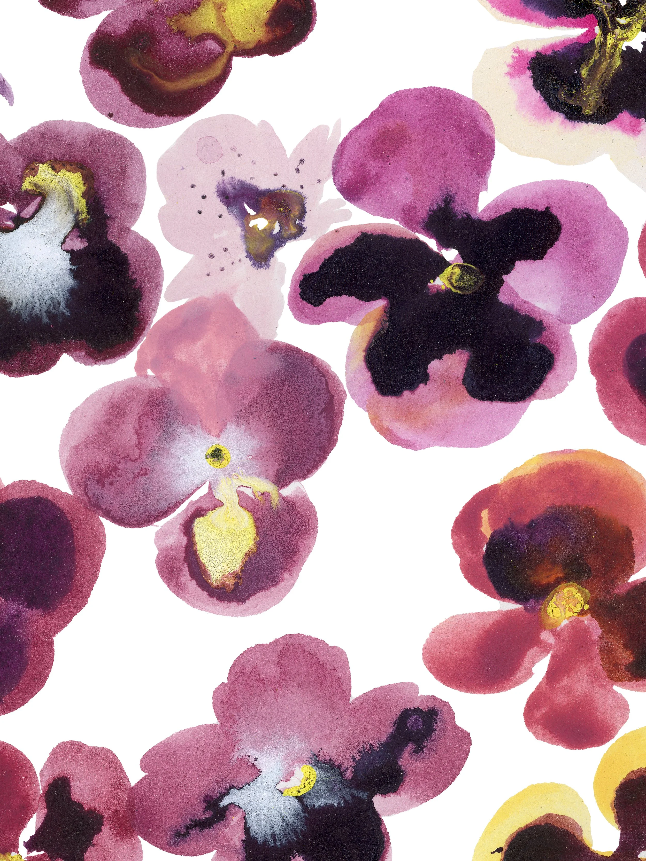 Wall Flowers_Crop1_Web.jpg