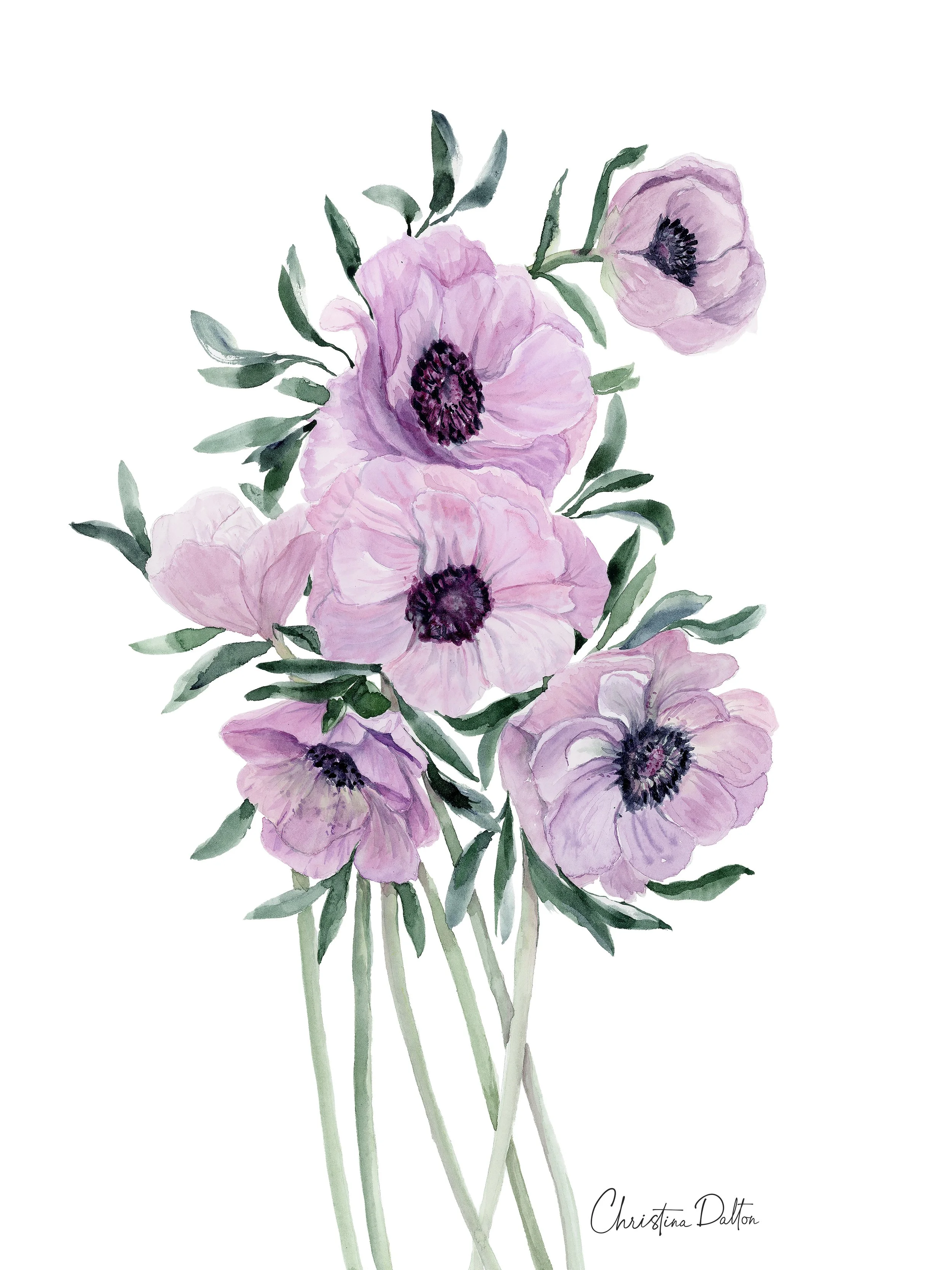 Purple Italian Anemones_Web.jpg