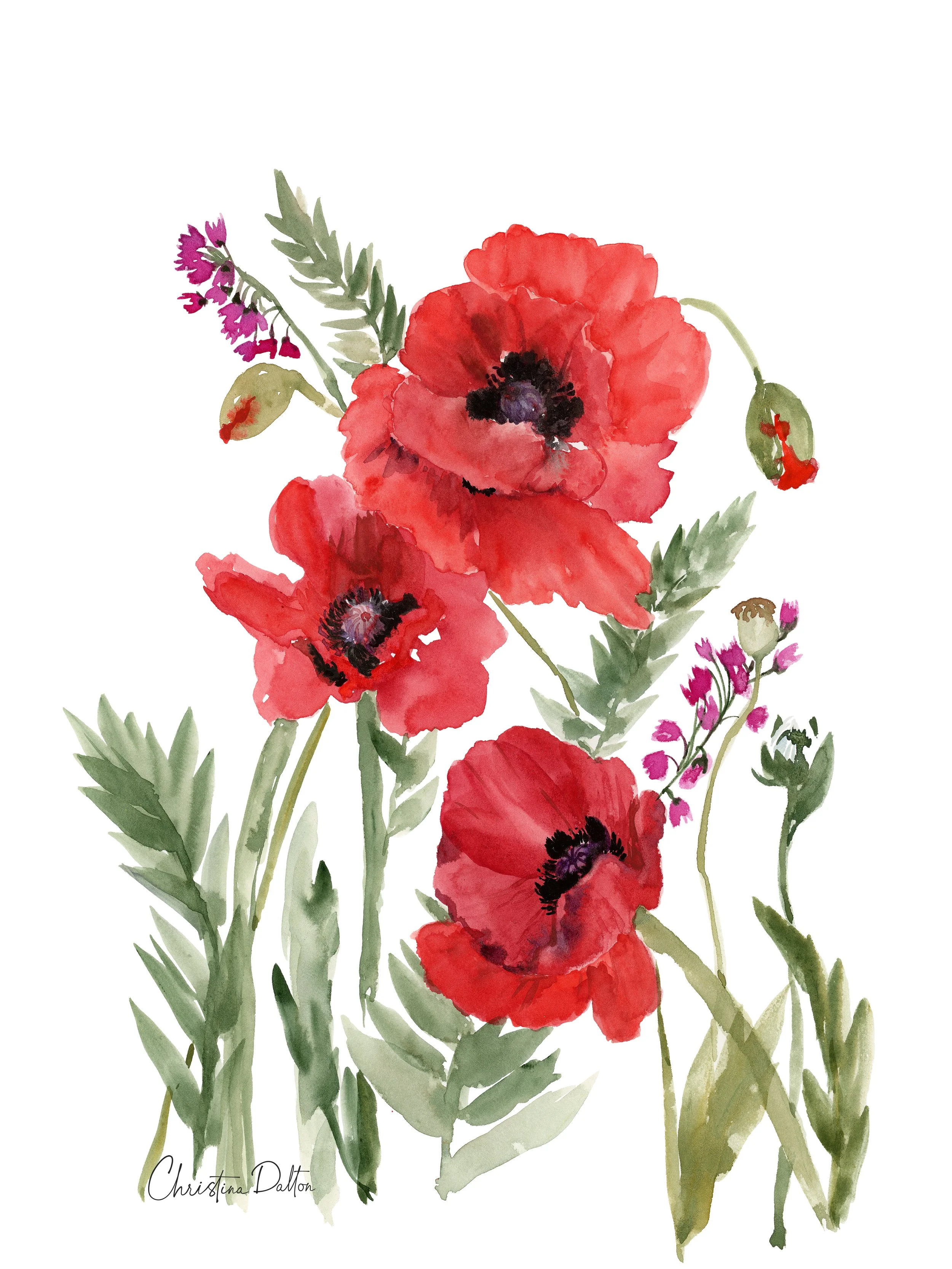 Red Poppies_Web.jpg