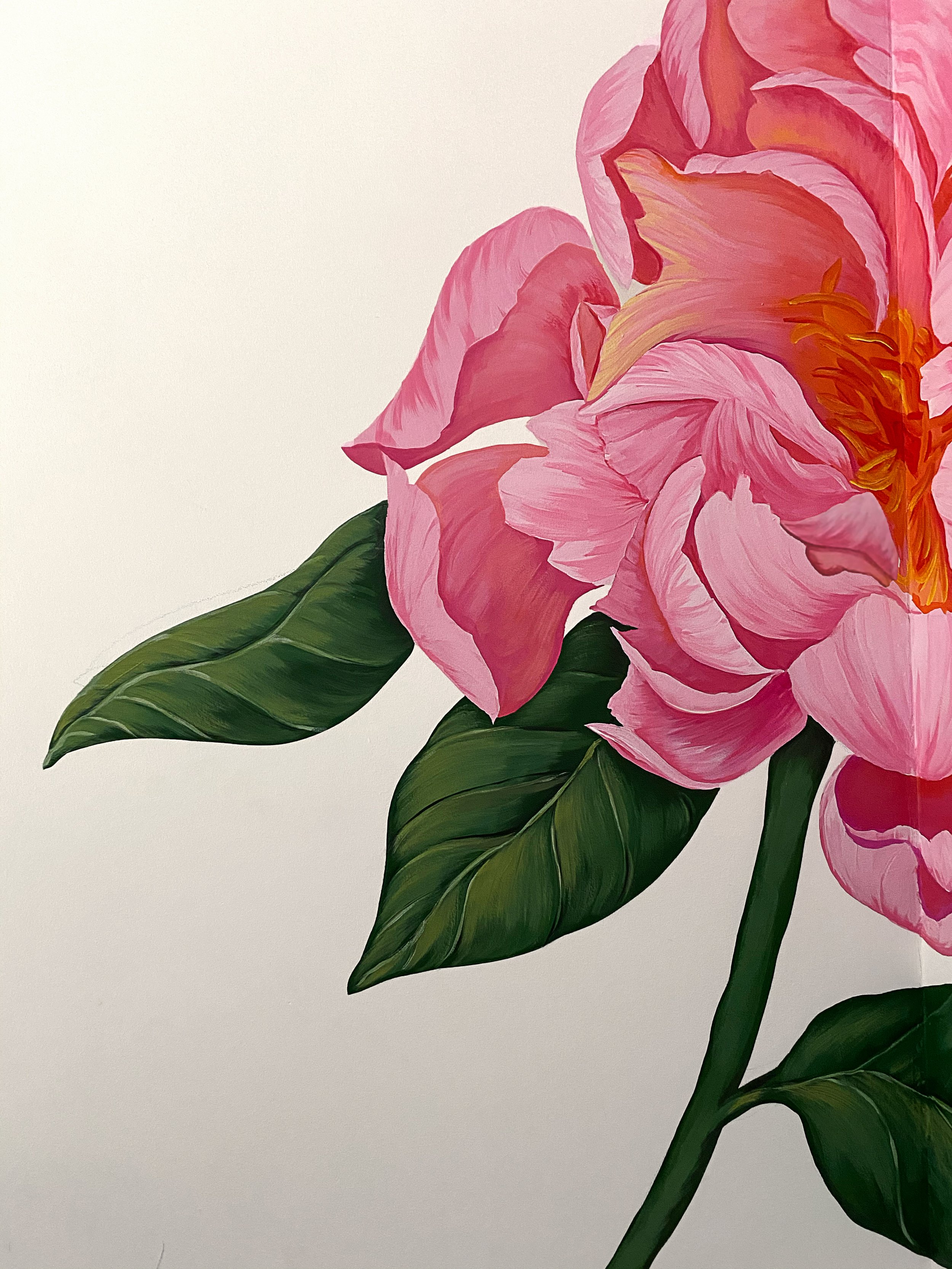 Peony UpClose 1.jpg