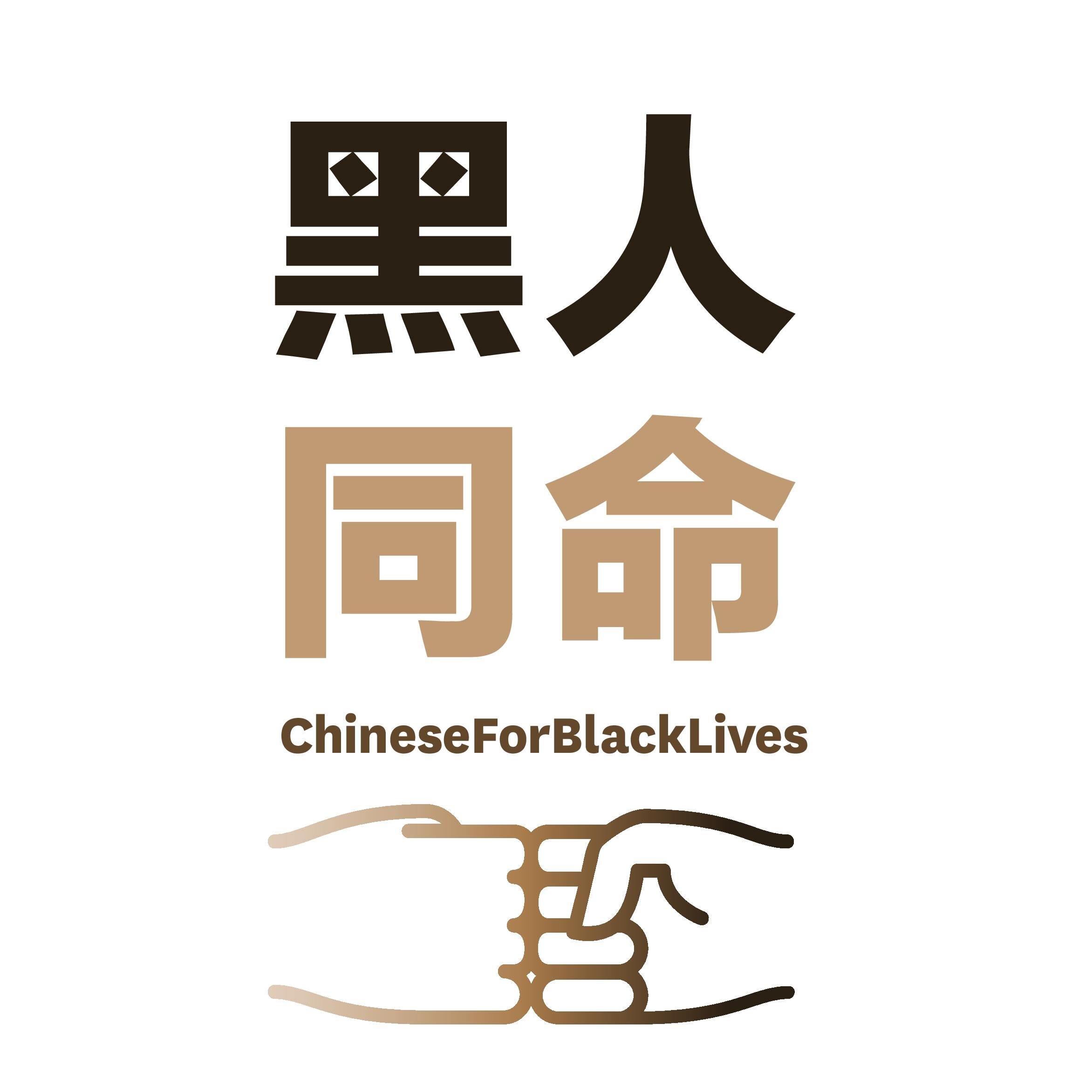 Chinese4BLM Action Guide