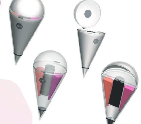 Plants & Pal (UX Design)