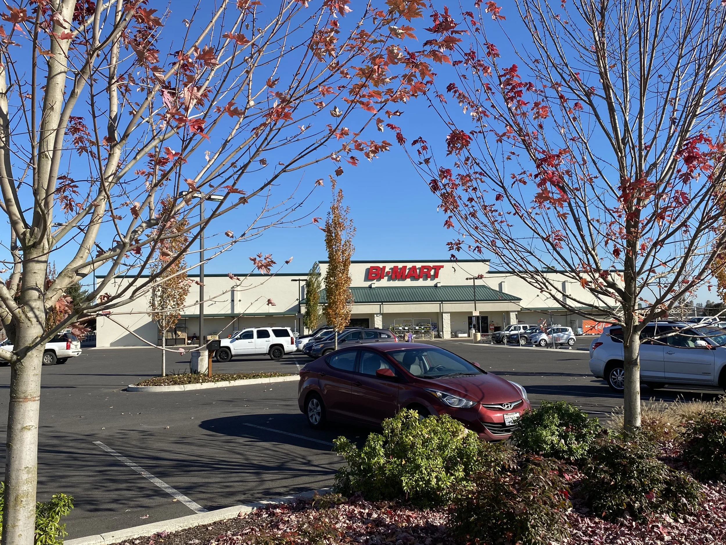 Bi-Mart, Scappoose
