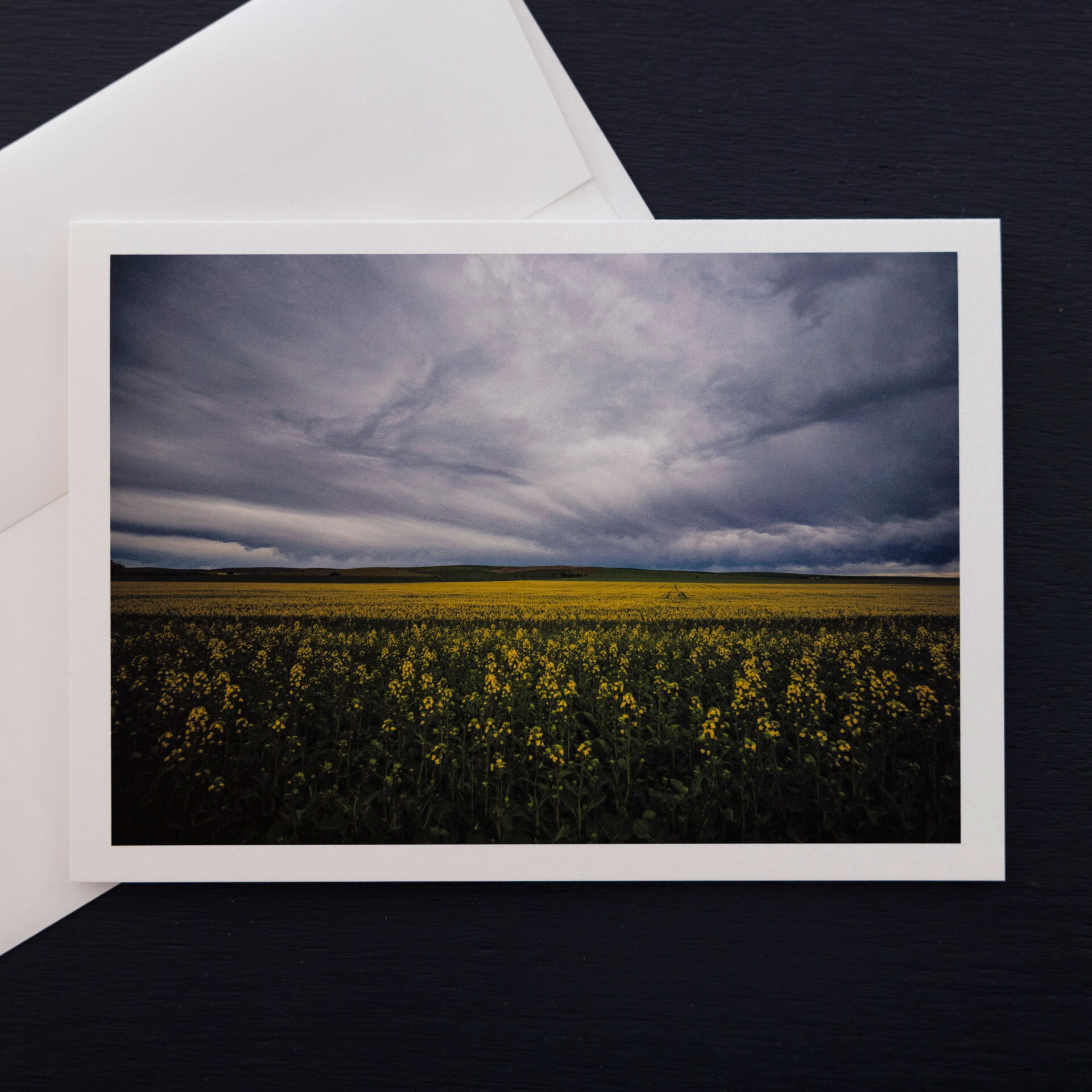 Fields-of-Gold-2.jpg