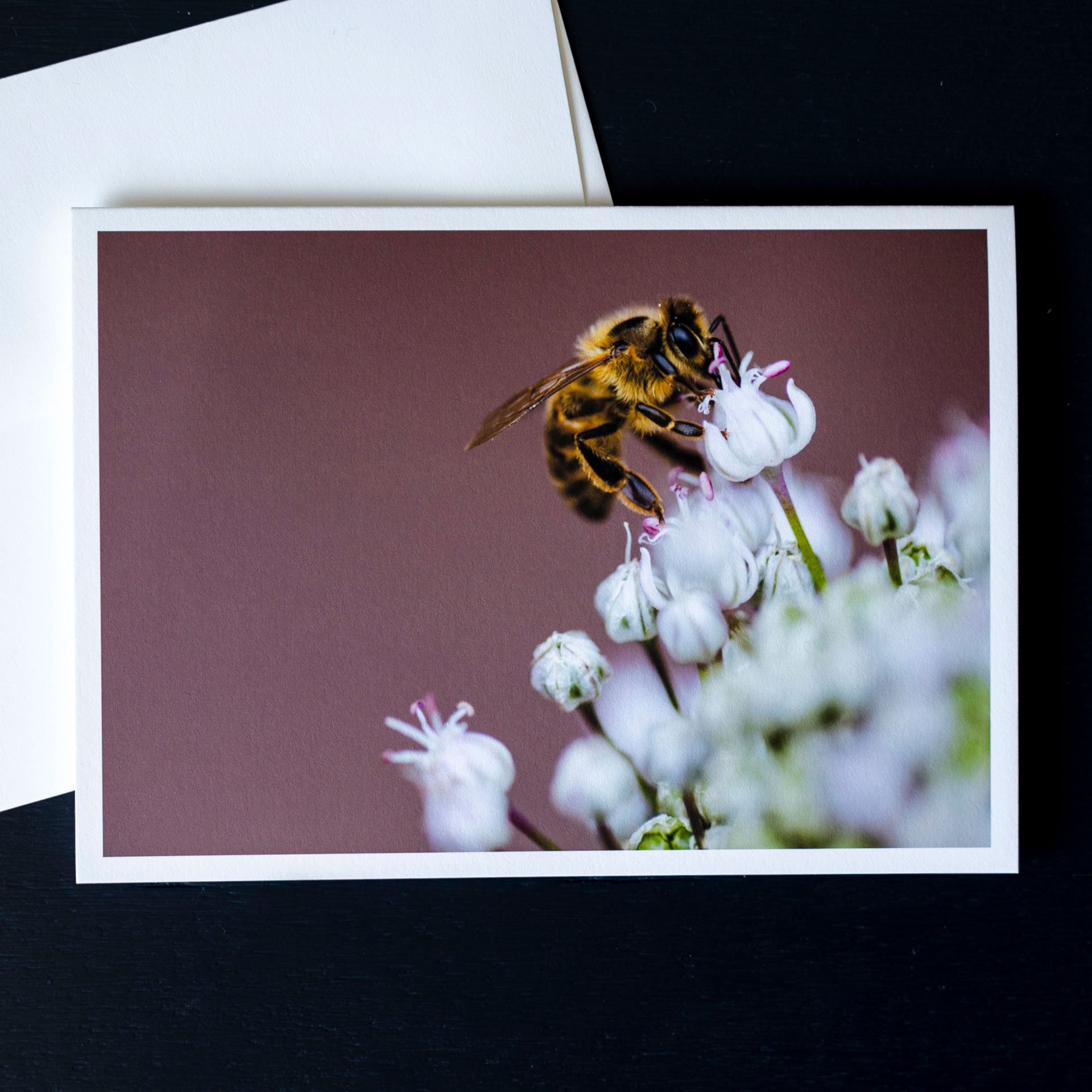 Mr.-Bee-2.jpg