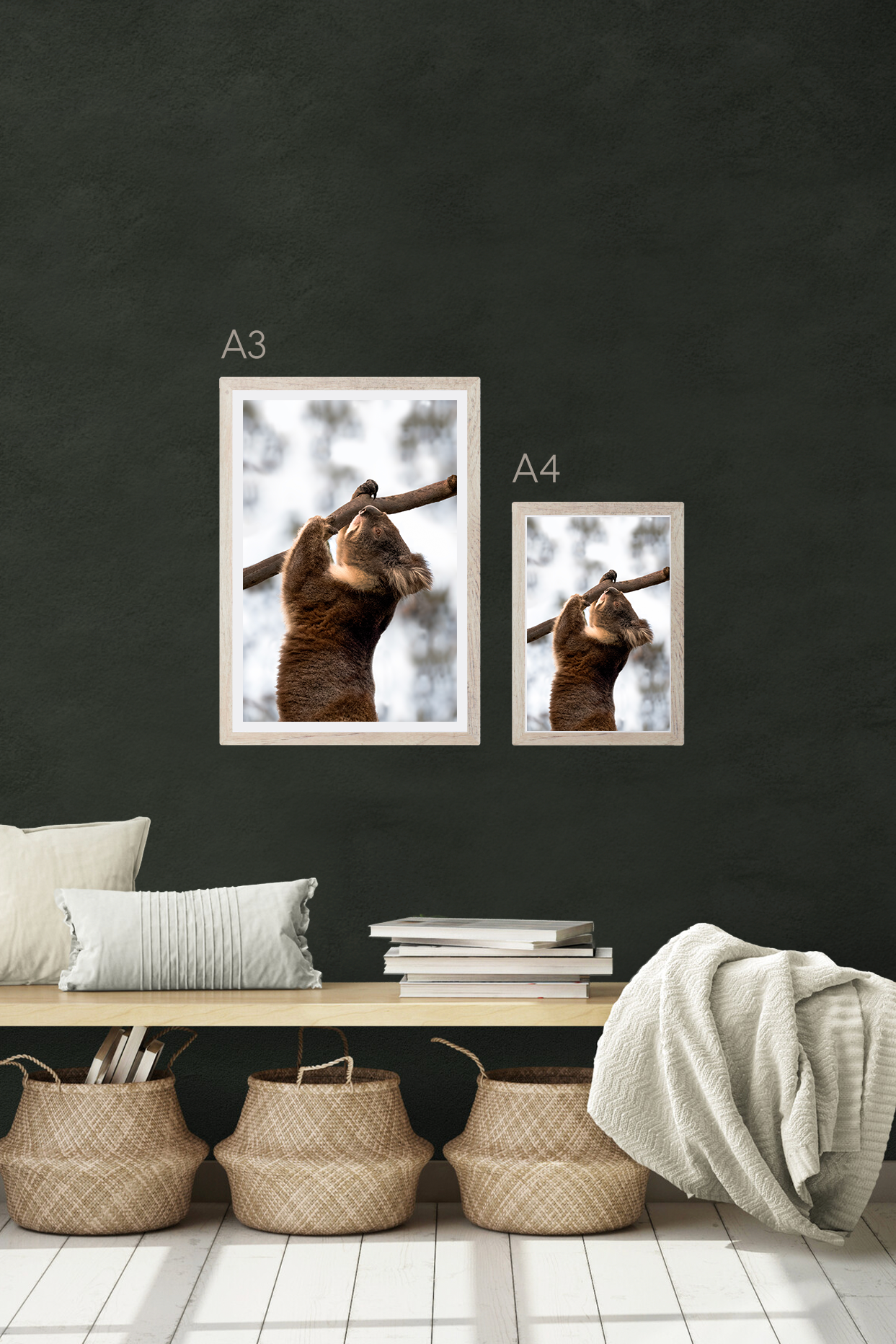 Koala-Daze-Sale.png