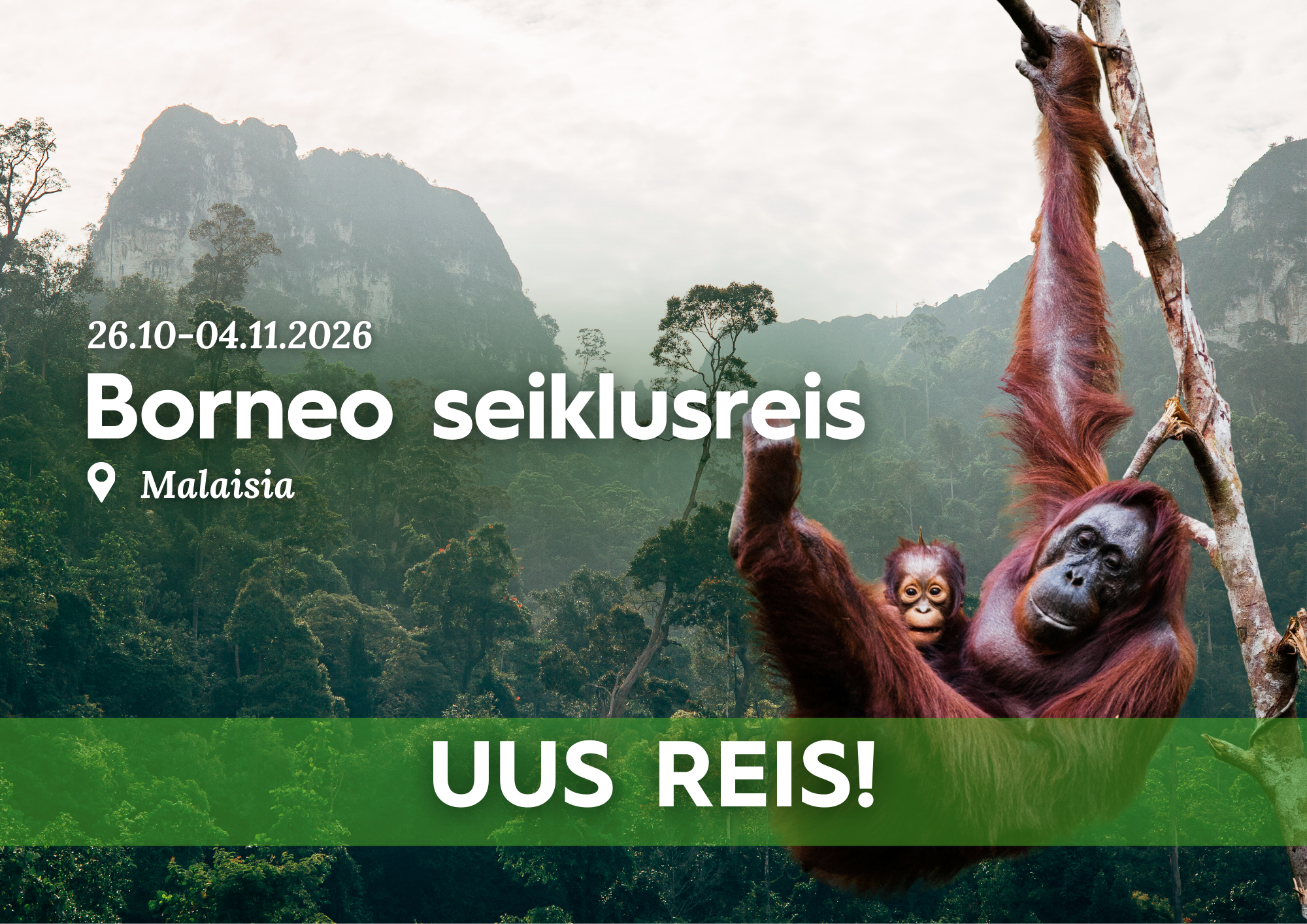 Borneo seiklusreis 2026