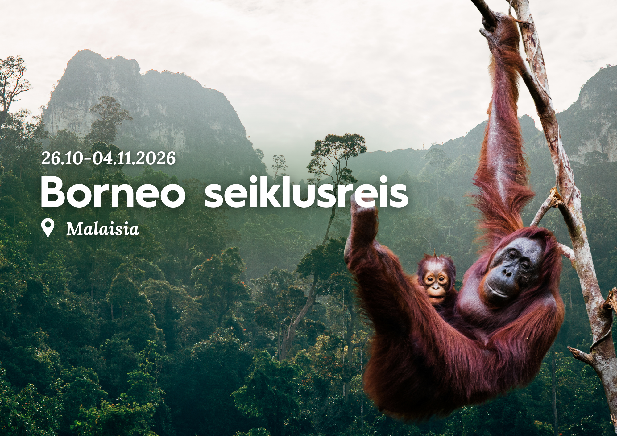 Borneo seiklusreis 2026