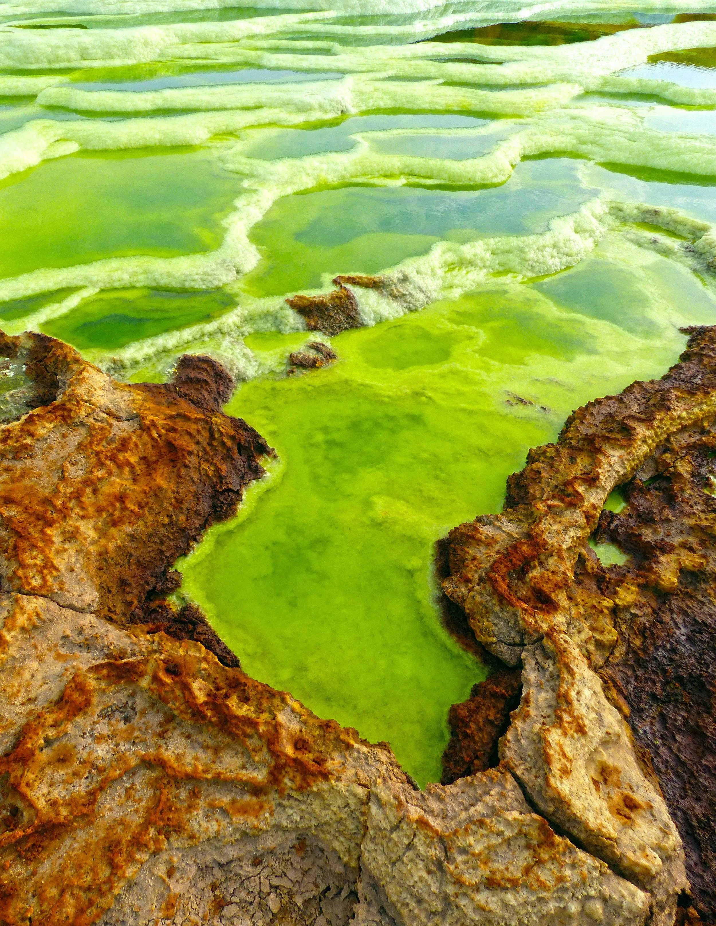 Volcanic Landscape with Geothermal Ponds, Afar.jpg