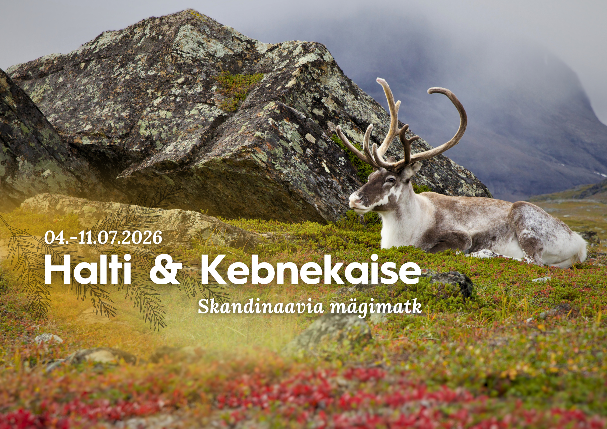 Halti ja Kebnekaise mägimatk 2026