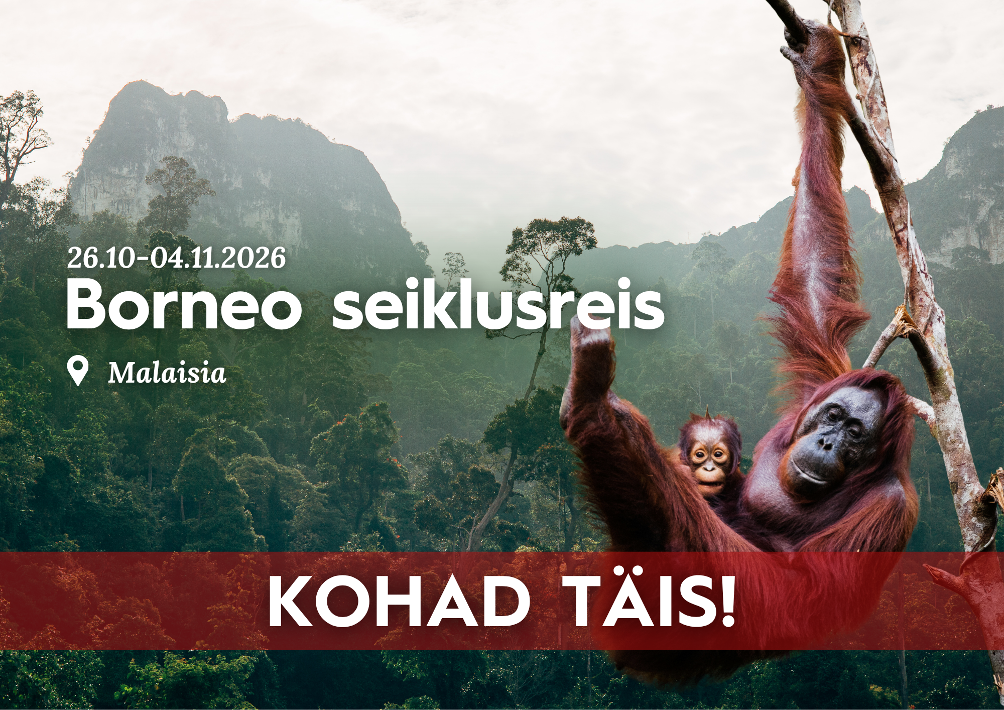 Borneo seiklusreis 2026