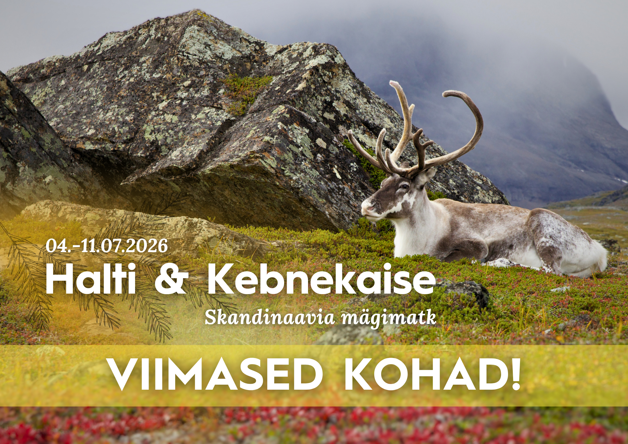 Halti ja Kebnekaise mägimatk 2026