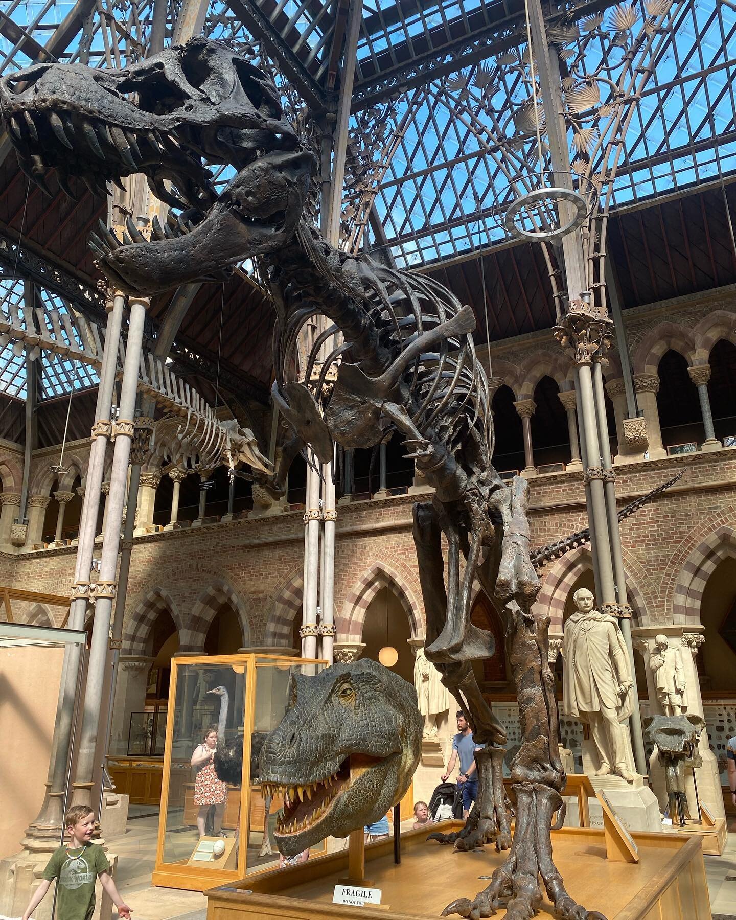 Dinos in Oxford! Needless to say, I was pretty stoked 😁🦖
&bull;
Check out: @morethanadodo 🏛
&bull;
1/5: T. rex
2/5: Iguanodon
3/5: Edmontosaurus
4/5: Struthiomimus
5/5: 📸 by @bombnattanon
&bull;
&bull;
#dinosaur #fossil #science #museum #naturalh