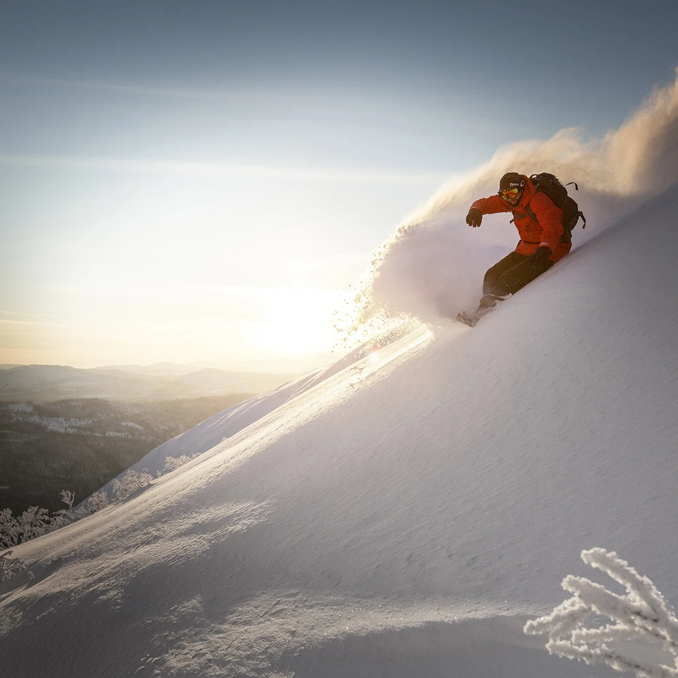 thumb_splitboard_james_holm_1.jpg