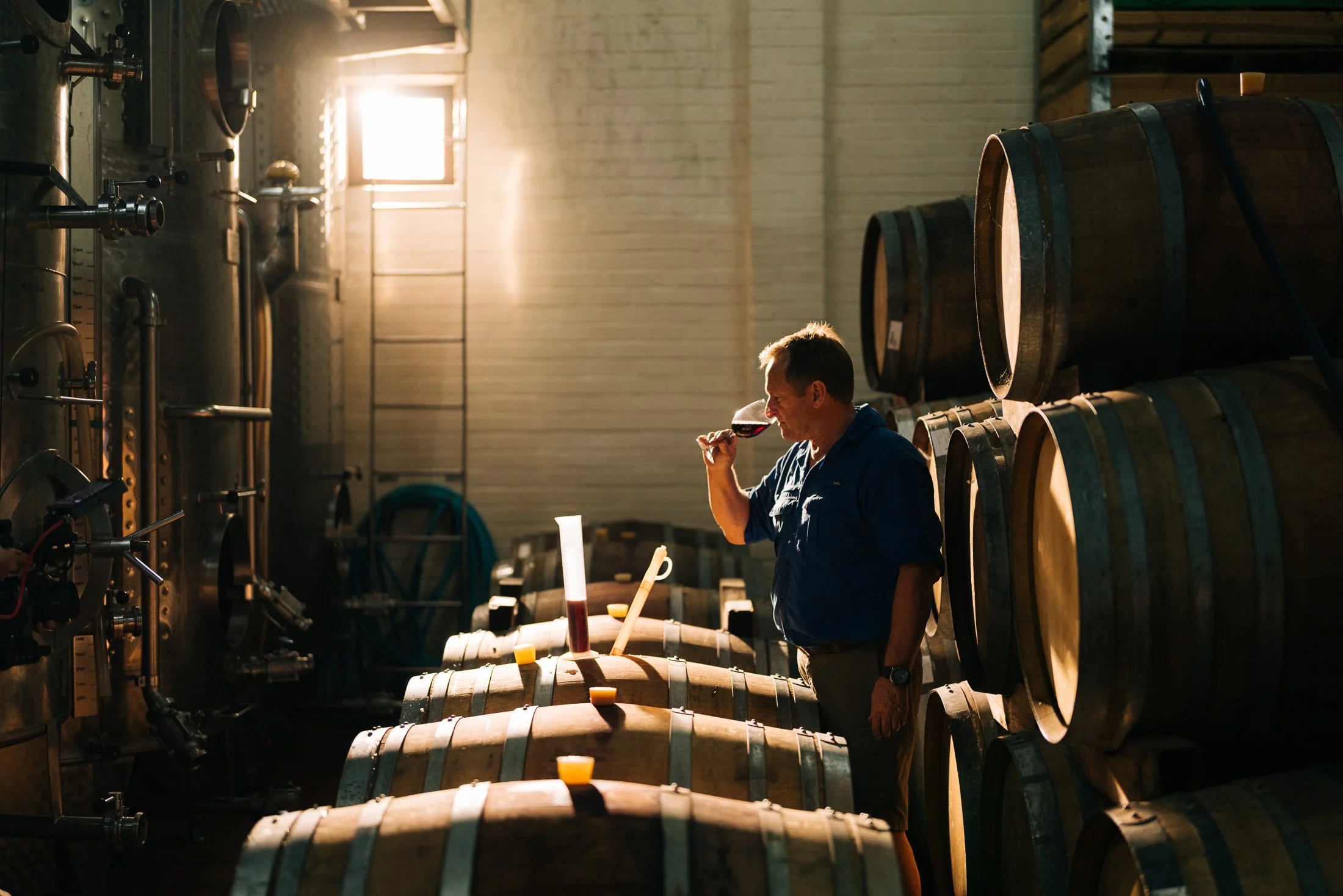 Ein Employer Branding Bild von einem Winzer im Weinkeller probiert Rotwein aus einem Weinglas, umgeben von Weinfässern bei Sonnenlicht.