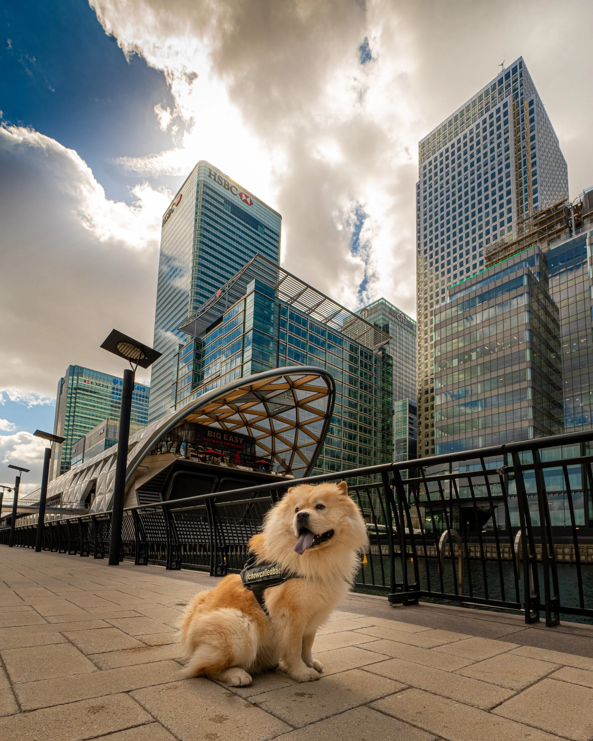 The Future of London’s Docklands