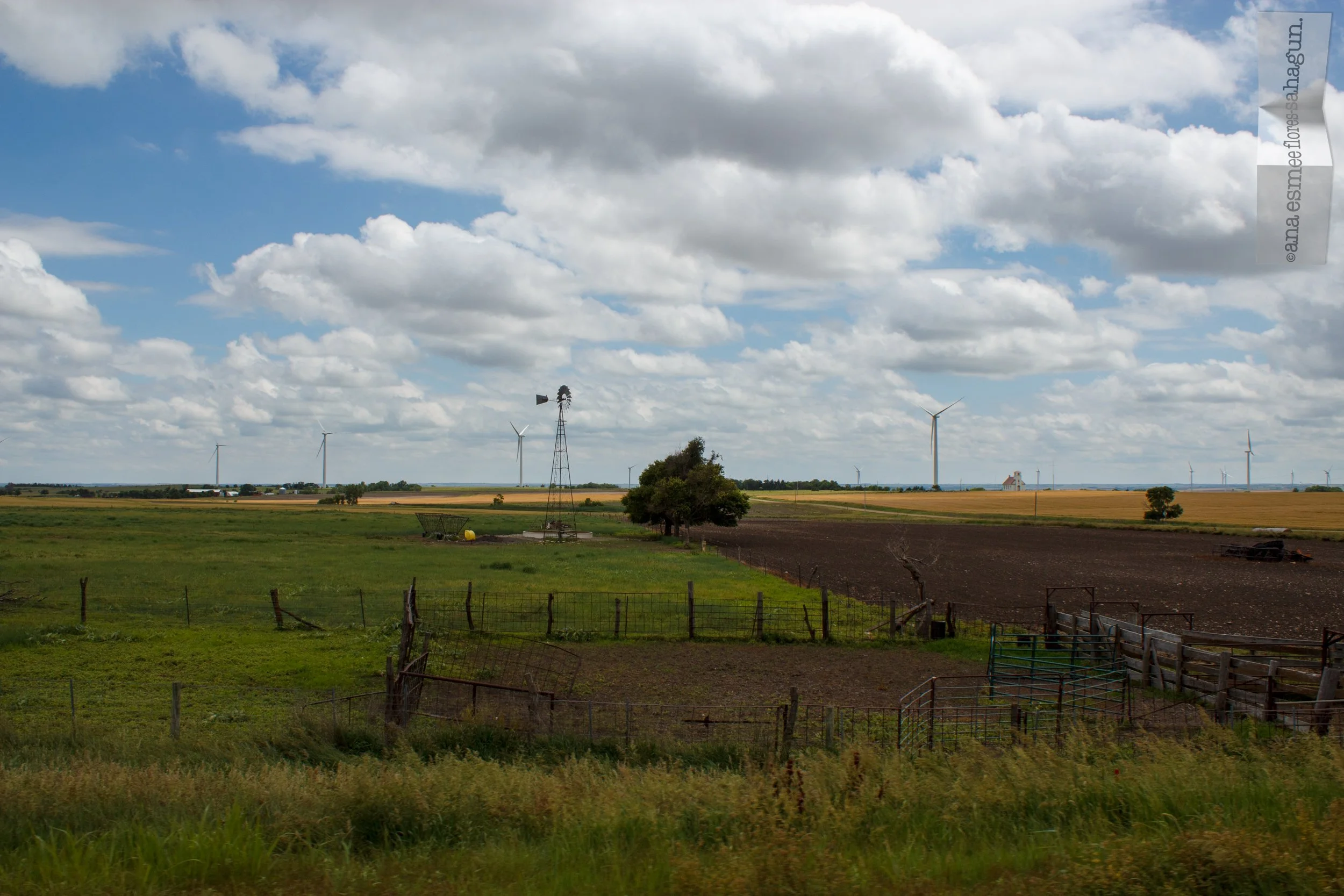 IMG_7342-2500px.jpg