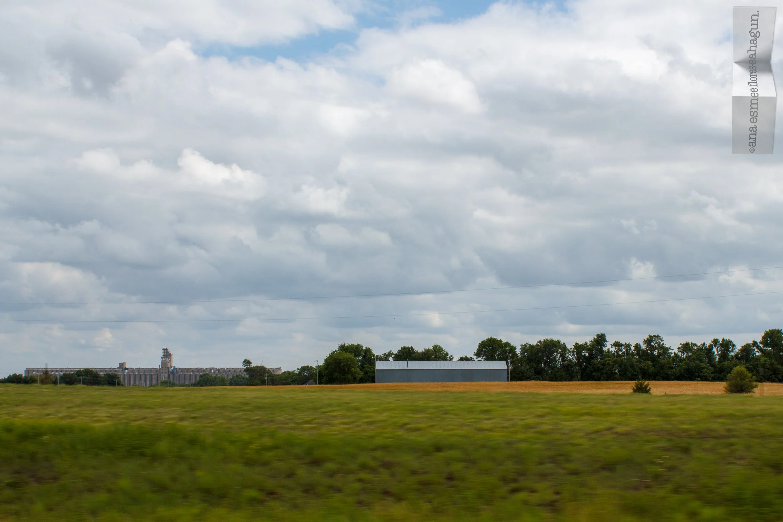 IMG_7420-2500px.jpg