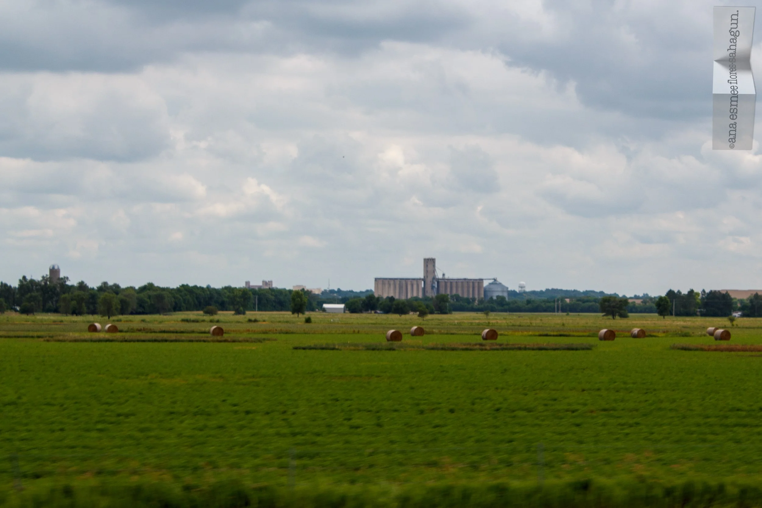 IMG_7429-2500px.jpg