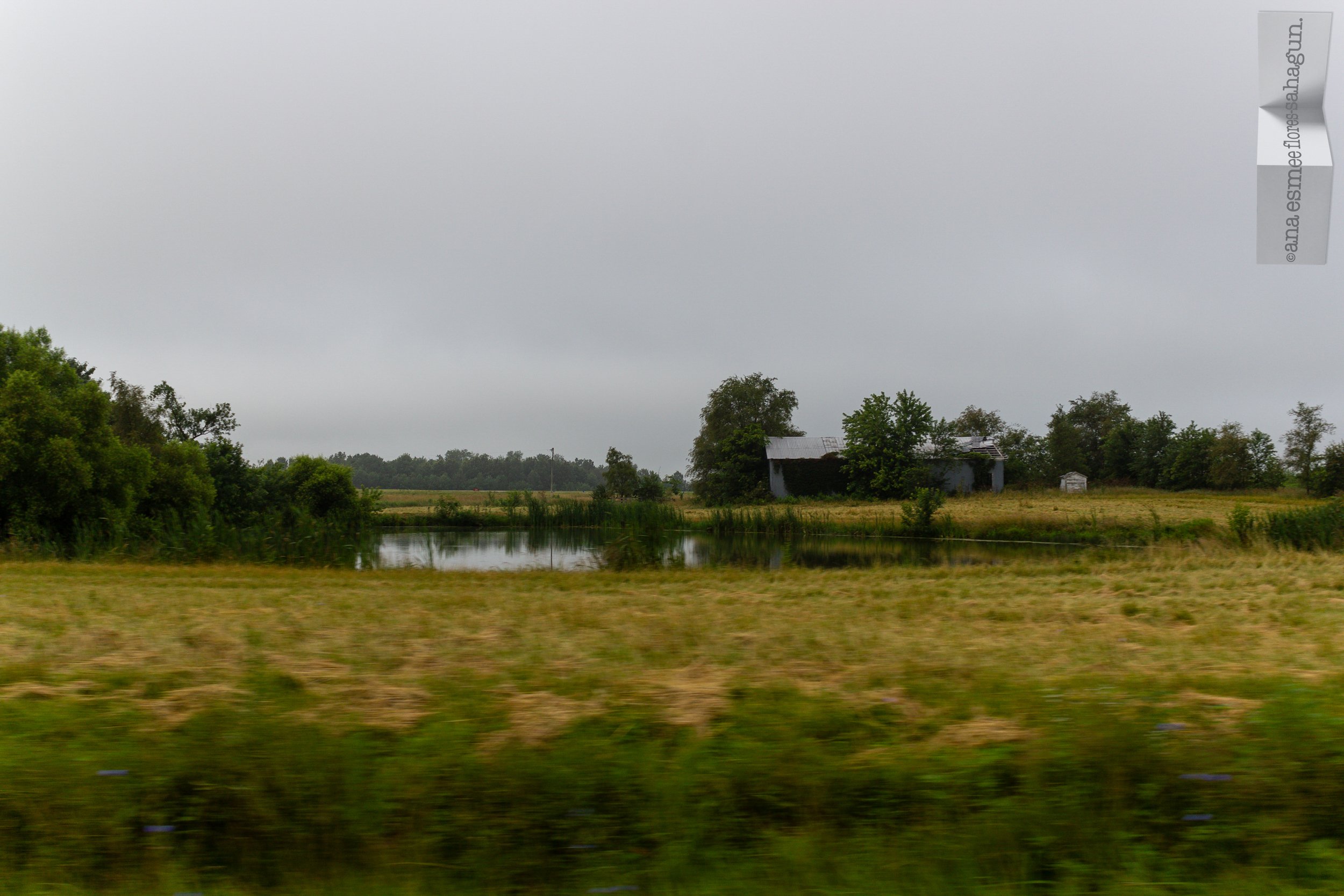 IMG_0836-2500px-2500px.jpg