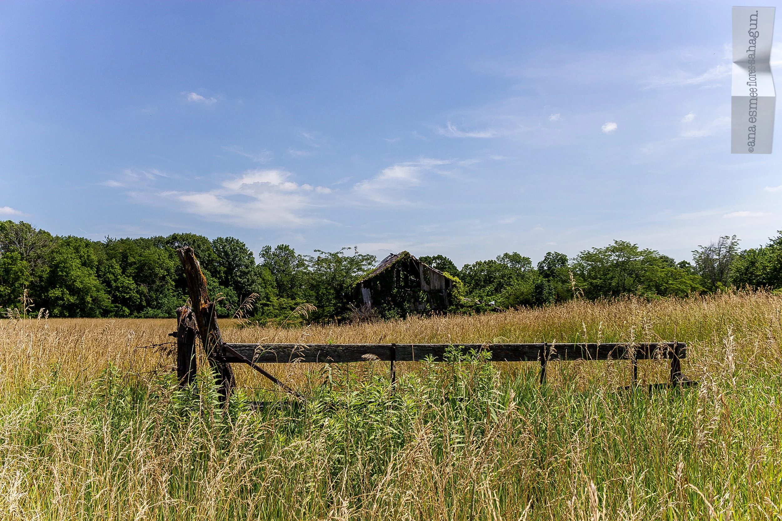 IMG_2503-2500px-2500px.jpg