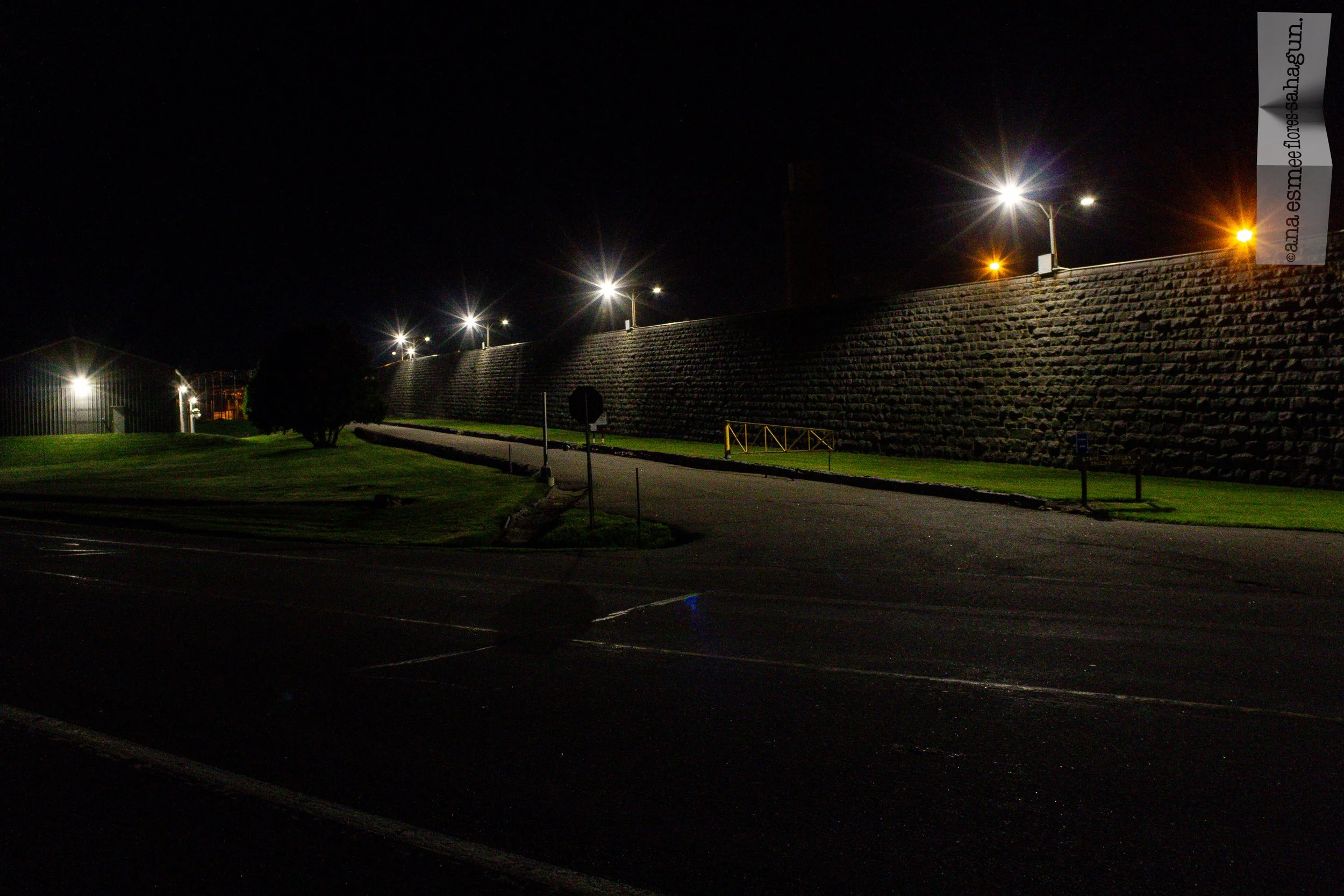 IMG_6301-2500px-2500px.jpg