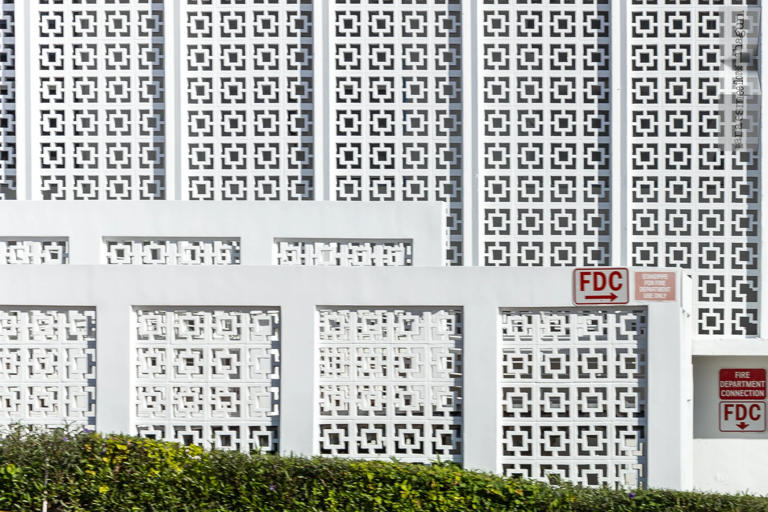 6X5A3974-2500px-2500px.jpg
