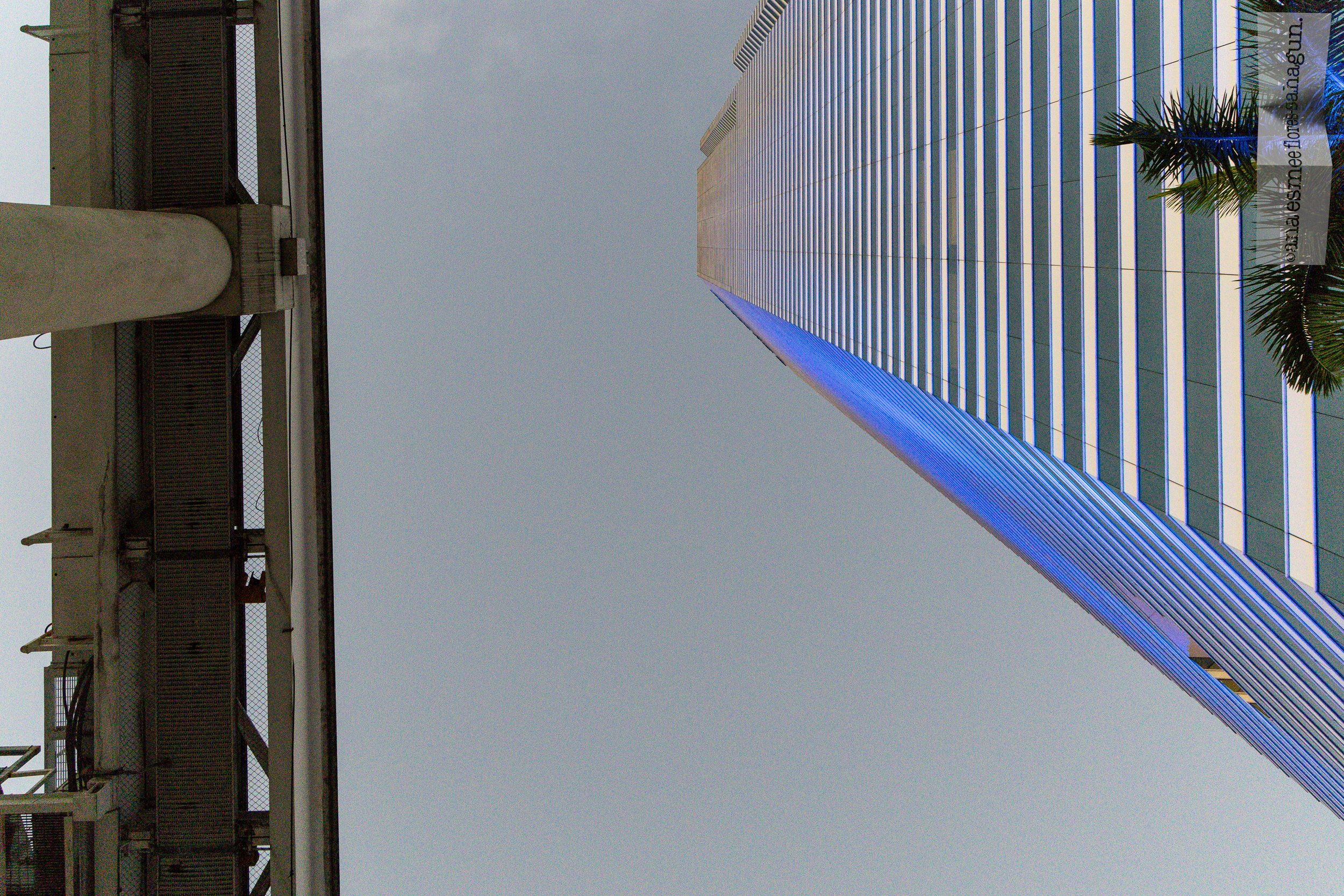 6X5A4392-2500px-2500px.jpg