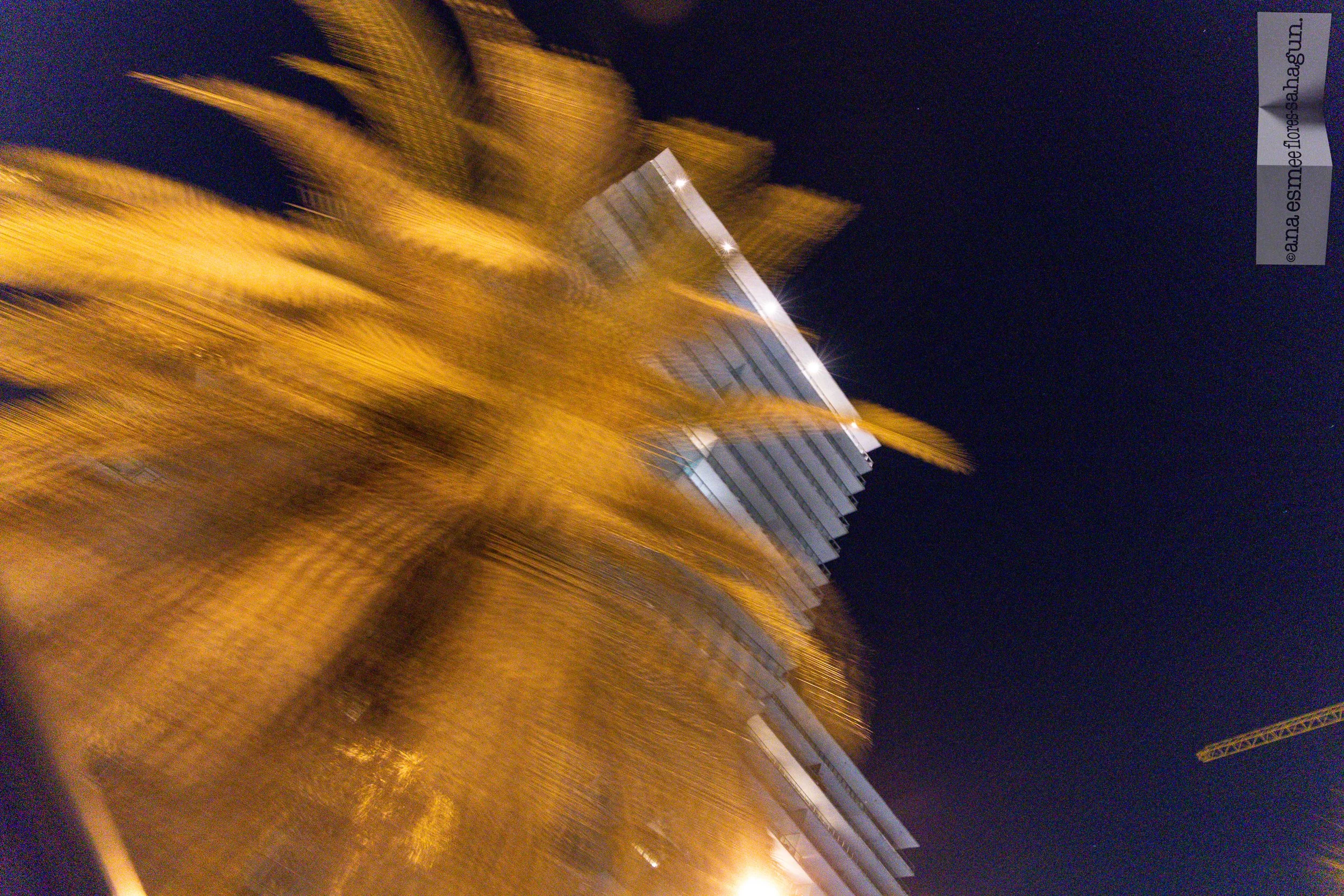 6X5A4460-2500px-2500px.jpg