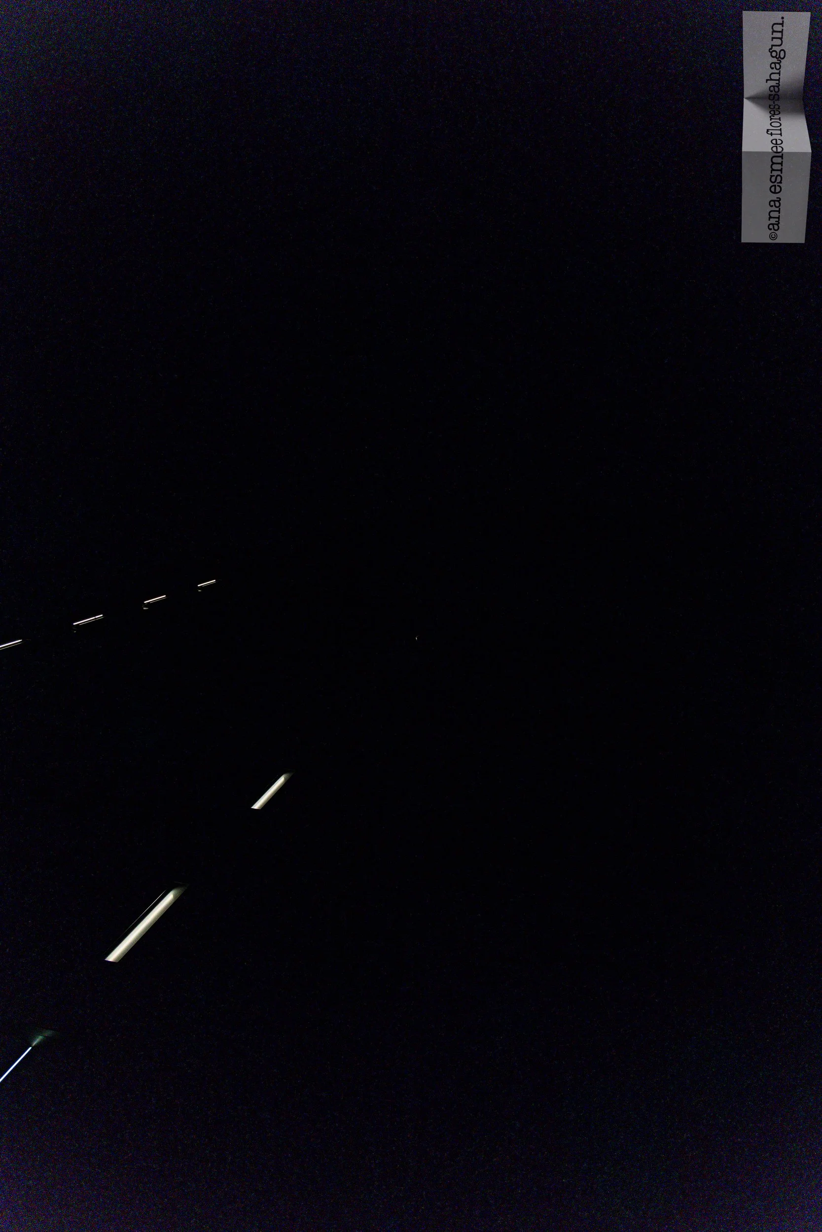 6X5A4495-2500px-2500px.jpg