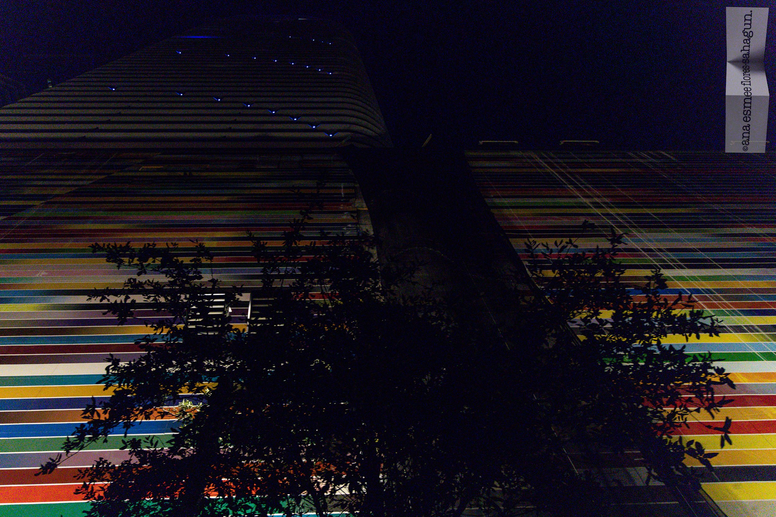 6X5A4510-2500px-2500px.jpg