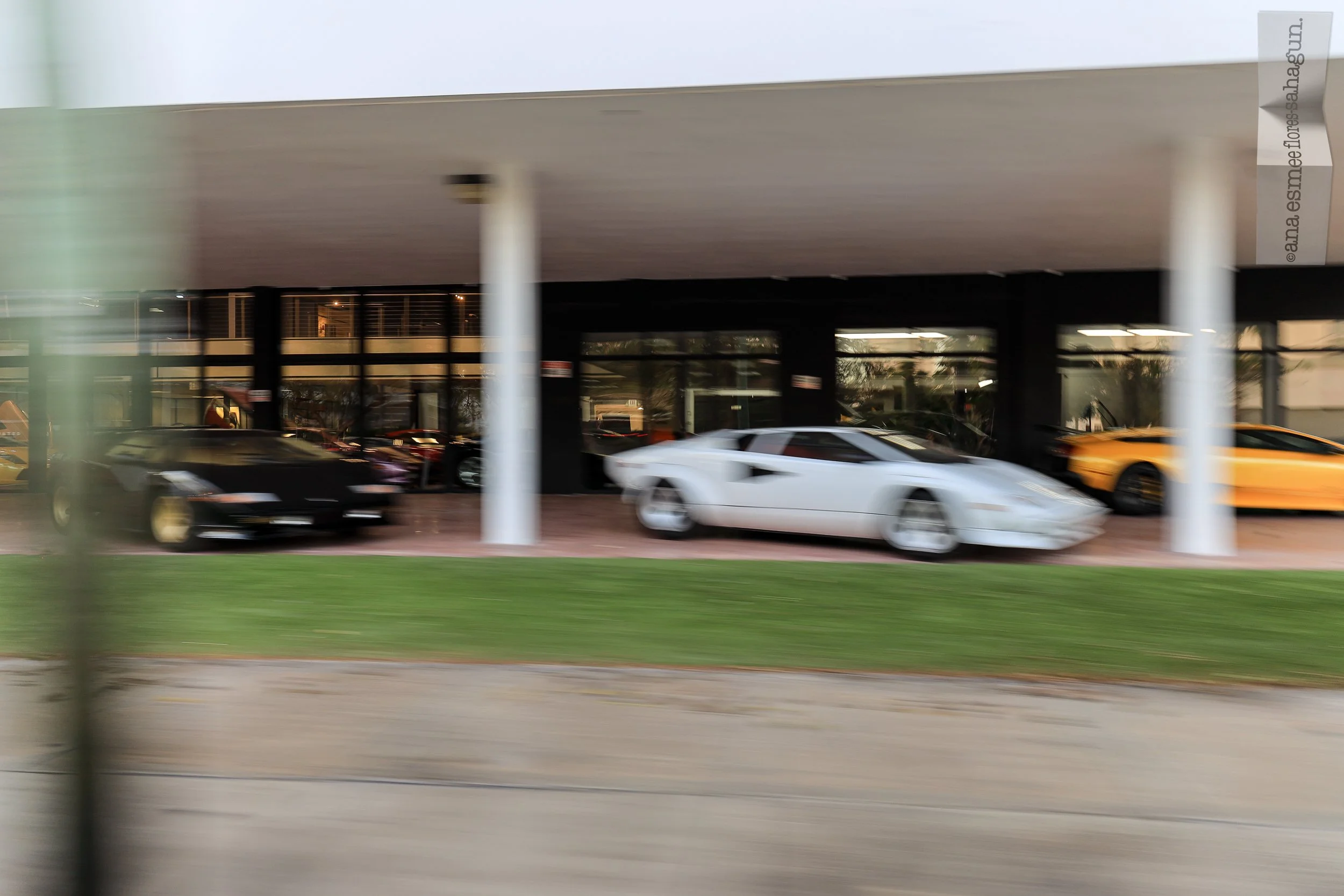 6X5A5221-2500px-2500px.jpg