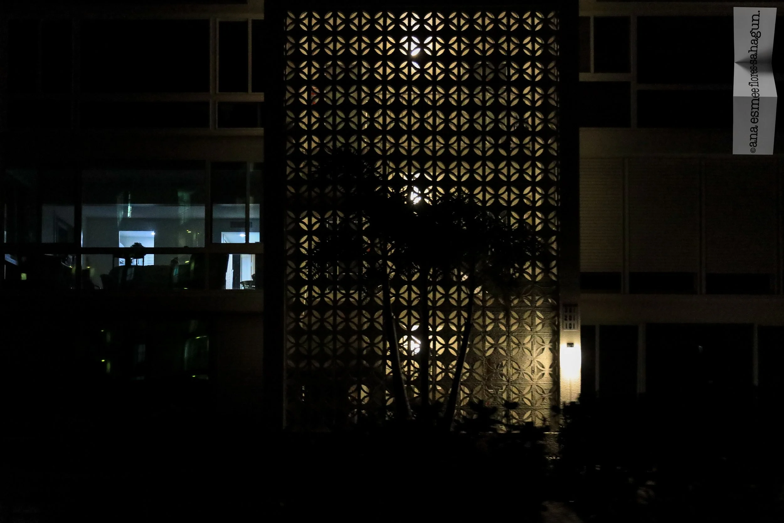 6X5A5830-2500px-2500px.jpg