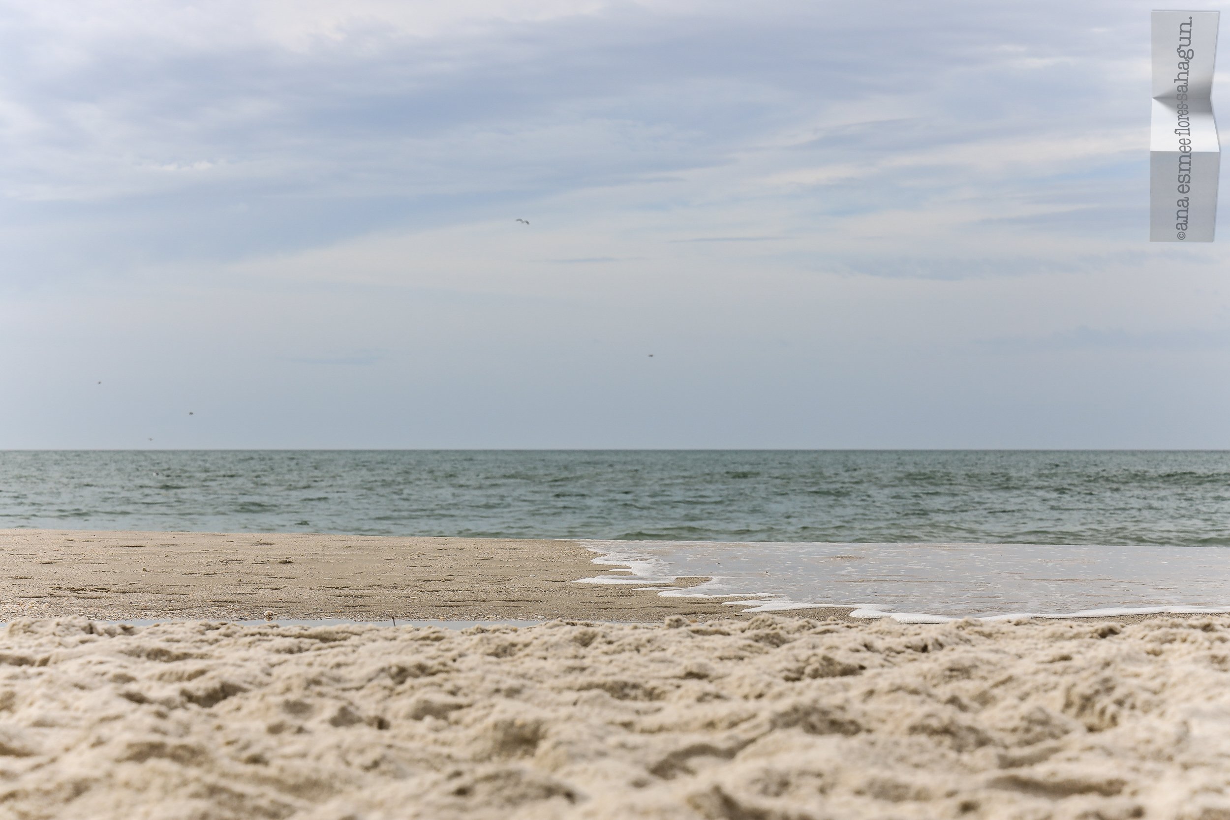 6X5A5973-2500px-2500px.jpg