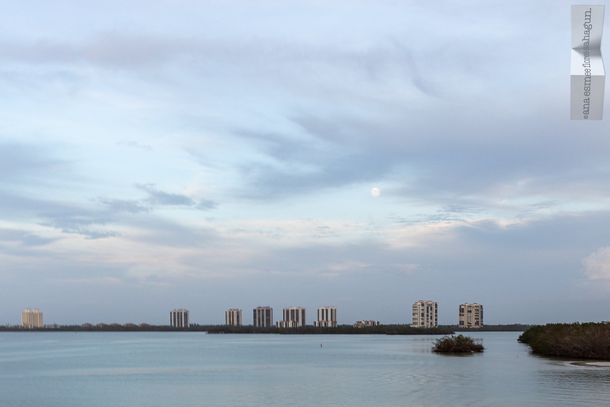 6X5A6474-2500px-2500px.jpg
