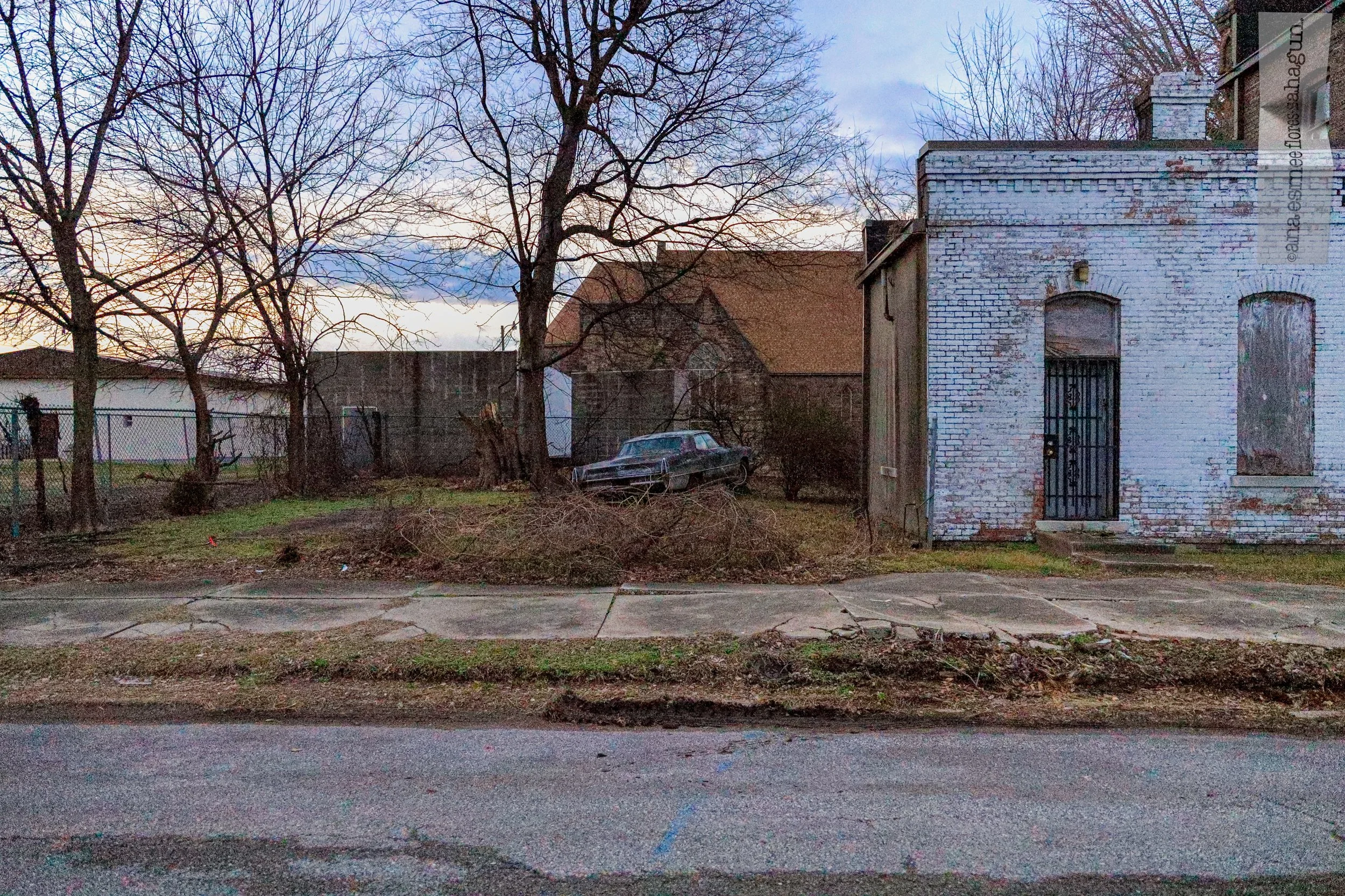 _X5A6697-2500px.jpg