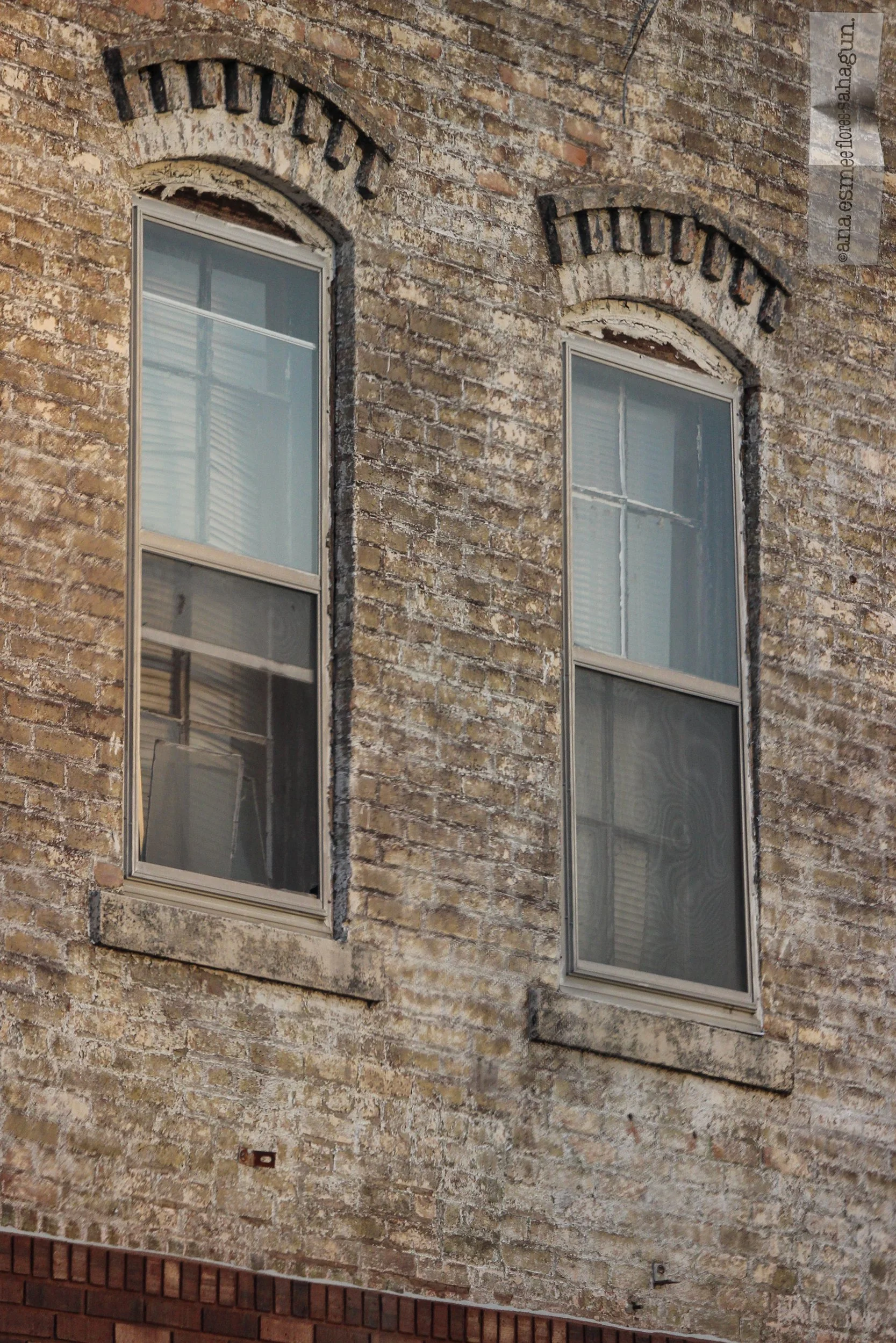 IMG_9542-2500px.jpg