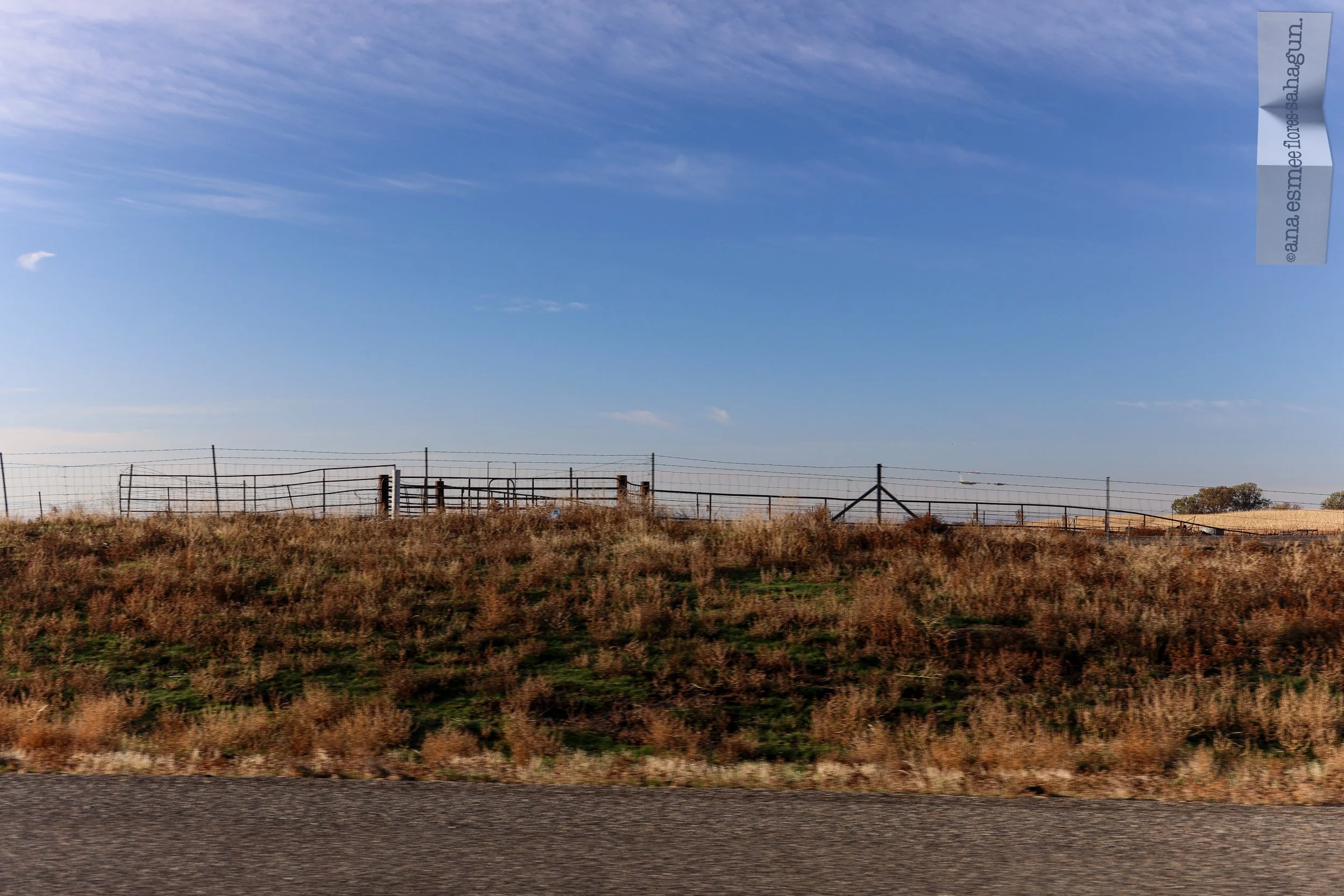 6X5A8355-2500px.jpg