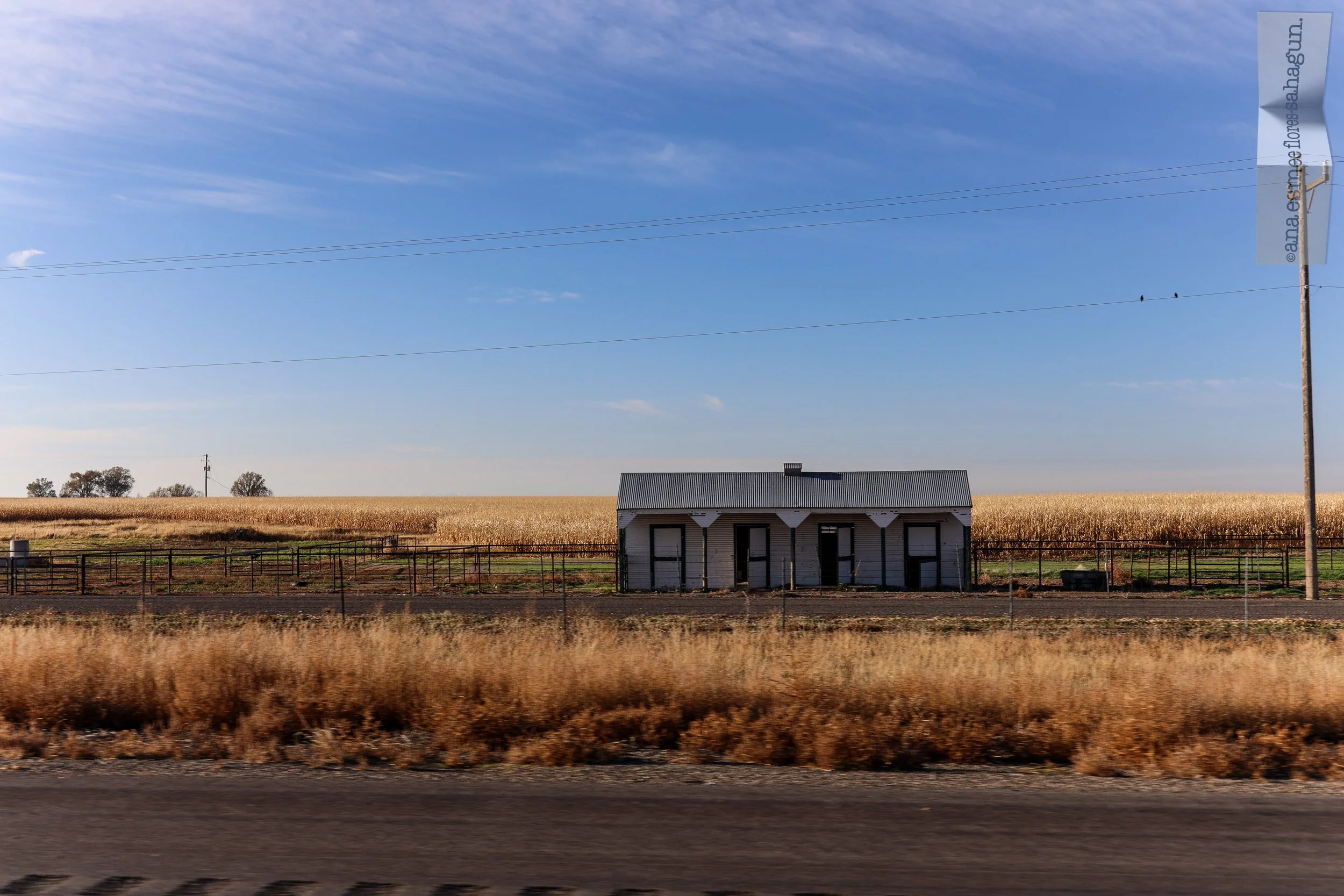 6X5A8350-2500px.jpg