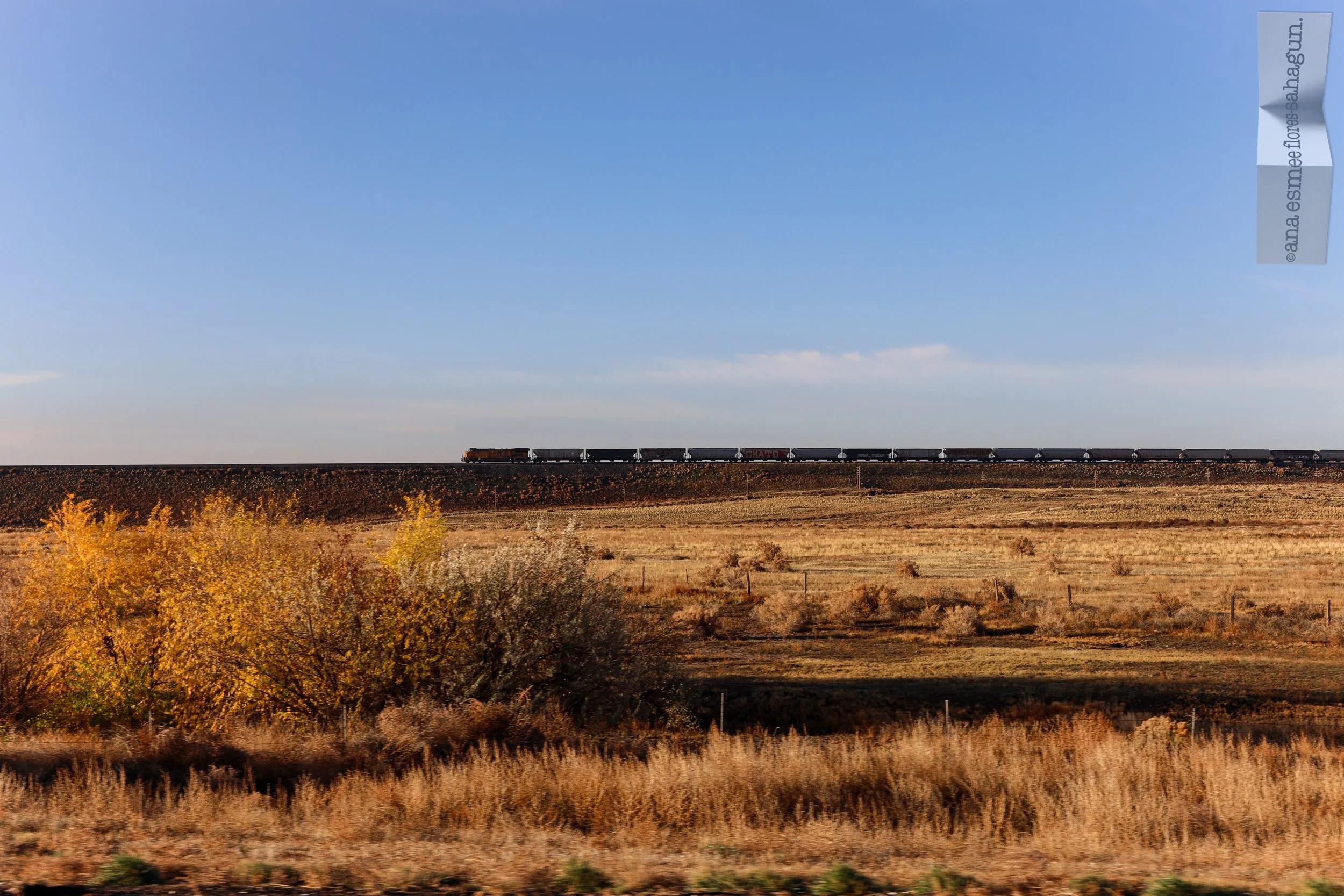6X5A8125-2500px.jpg