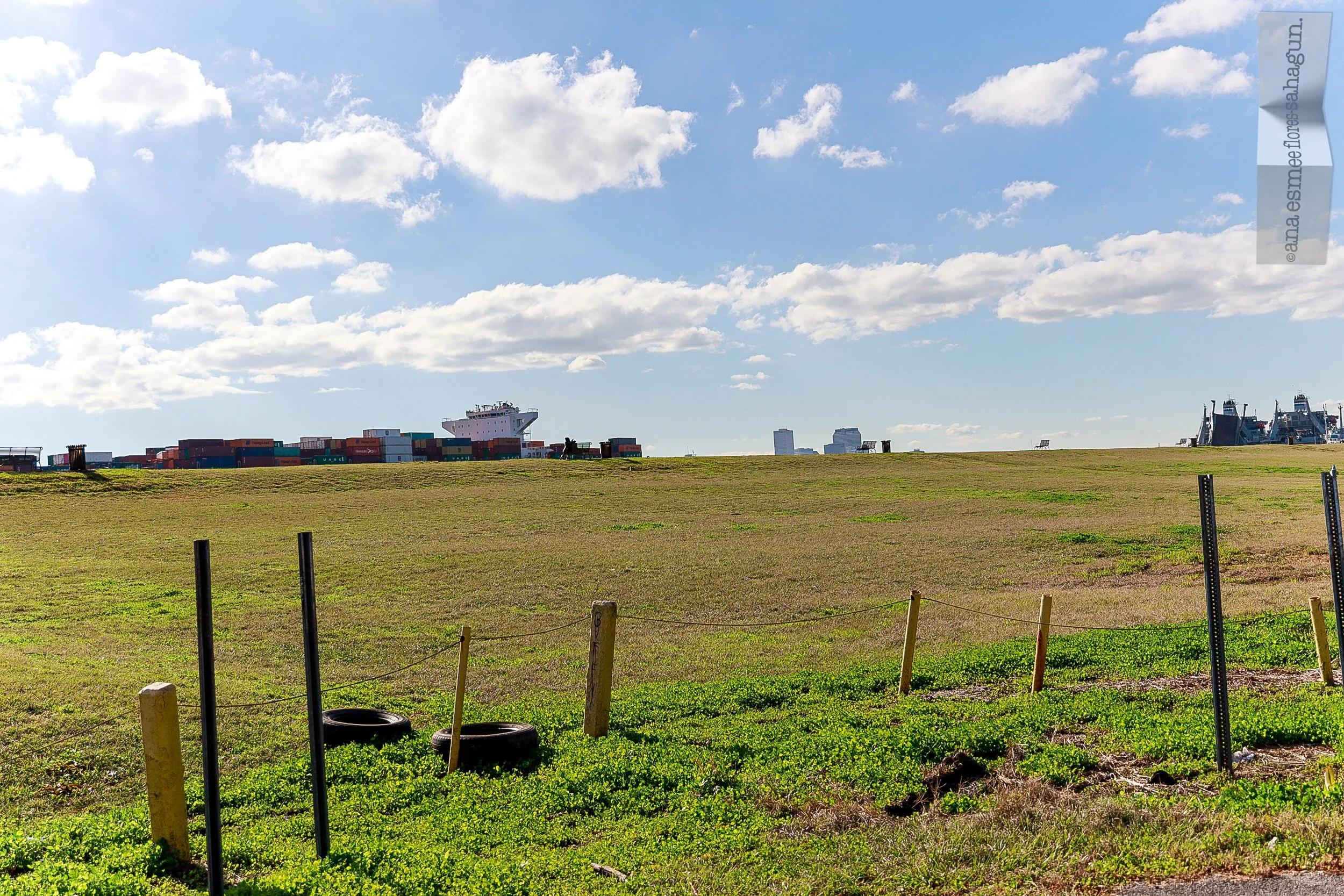 LOUISIANA, 2023-044-2500px.jpg