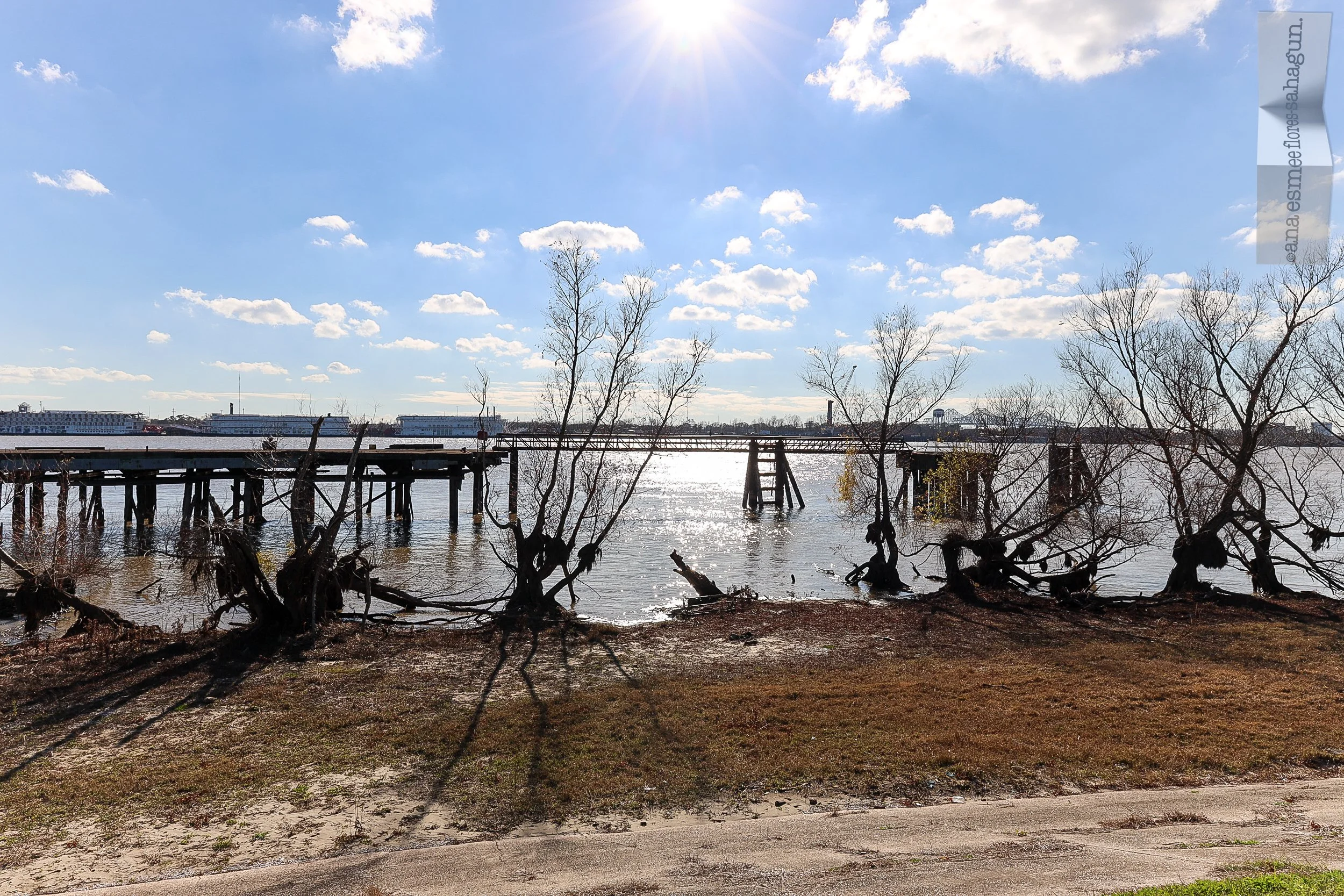 LOUISIANA, 2023-049-2500px.jpg