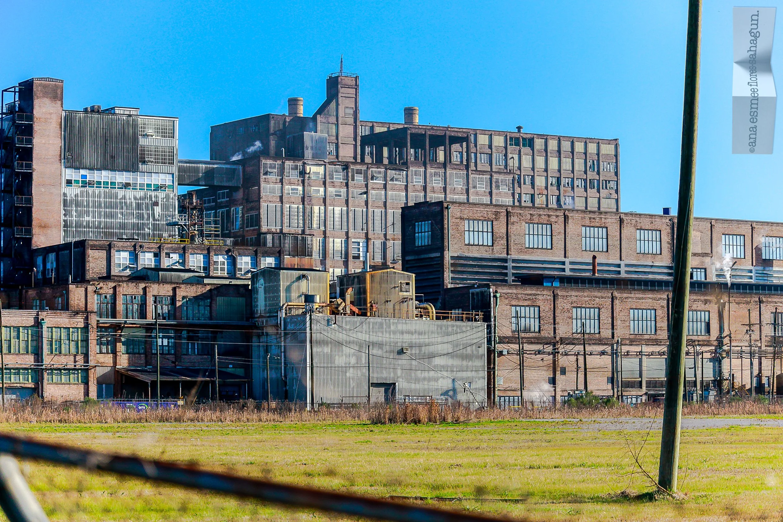 LOUISIANA, 2023-057-2500px.jpg