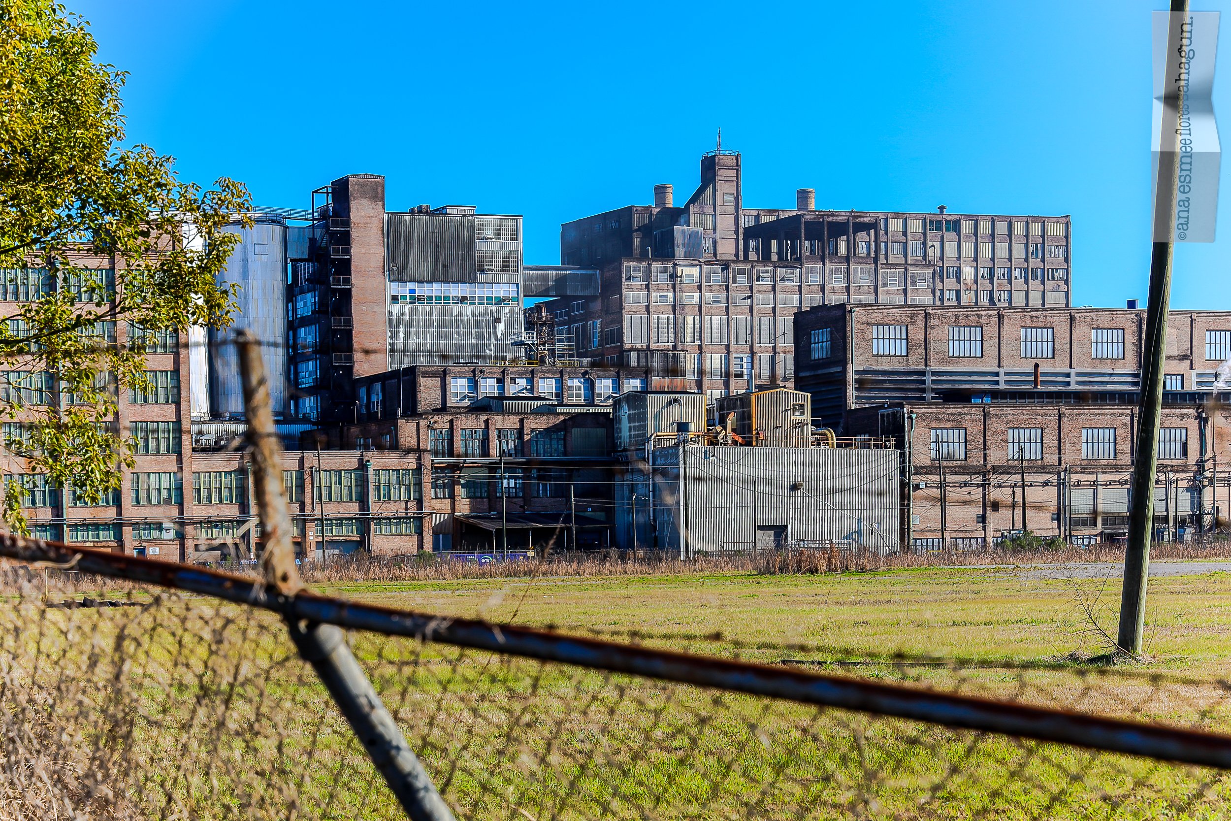 LOUISIANA, 2023-058-2500px.jpg