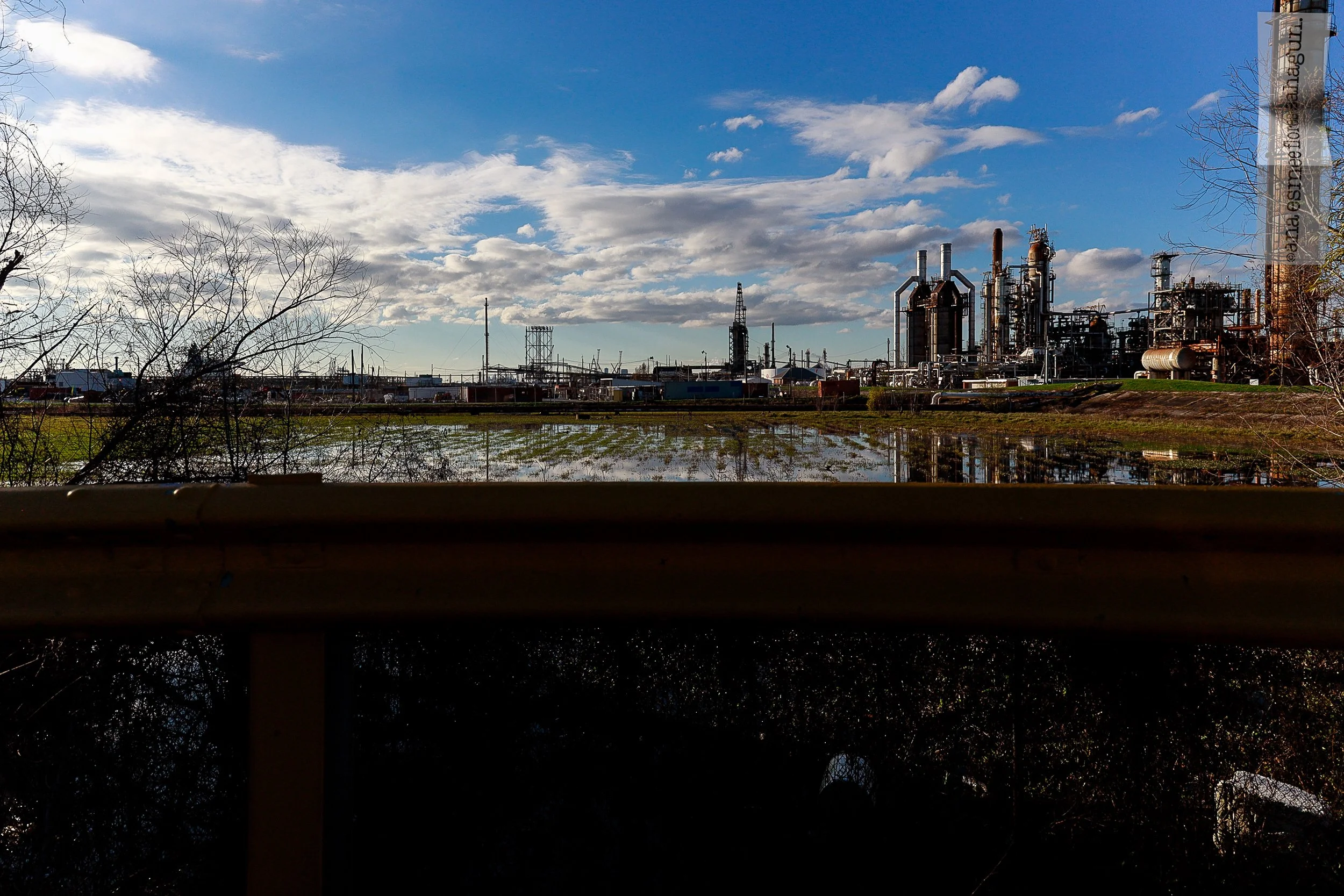 LOUISIANA, 2023-062-2500px.jpg
