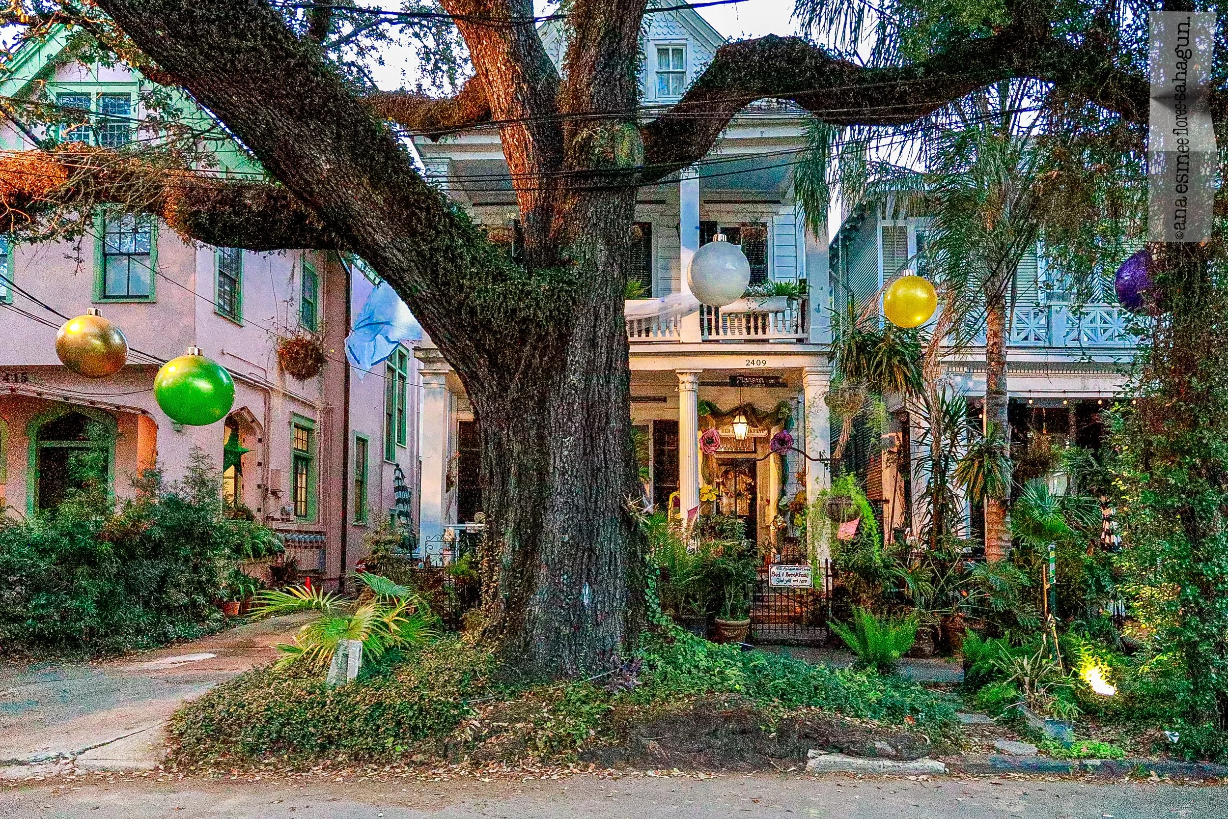 LOUISIANA, 2023-087-2500px.jpg